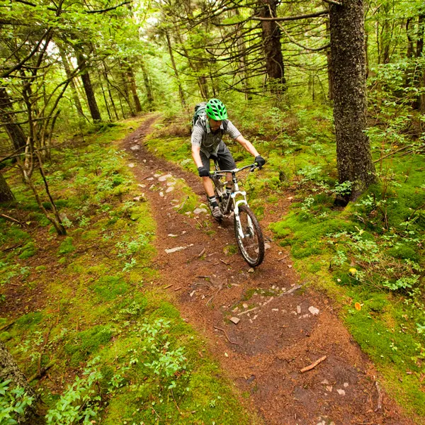 LWCF Passes out of House of Natural Resources Committee (THIS IS A BIG DEAL!)