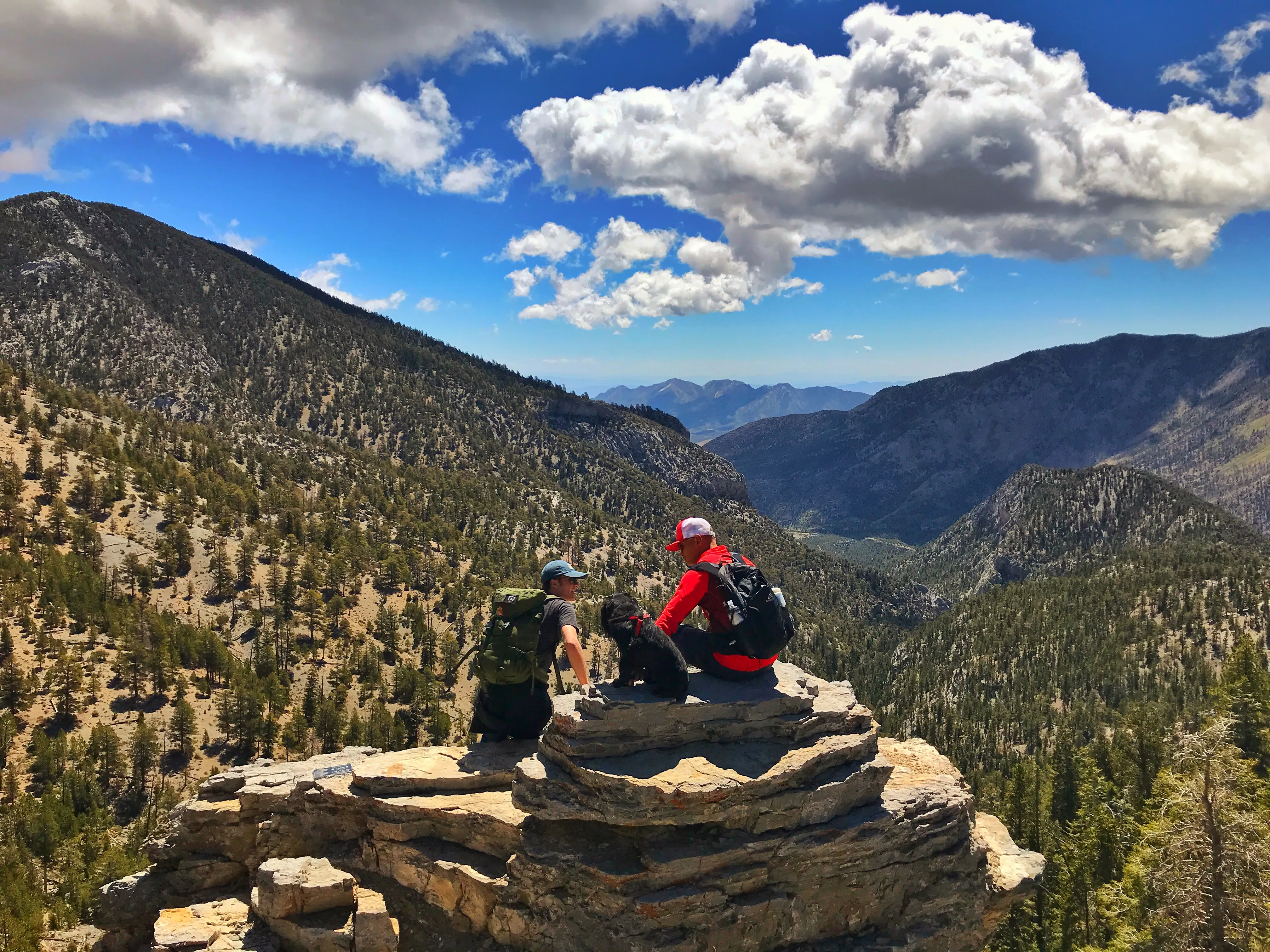 Trail Canyon in the Mt. Charleston Wilderness
