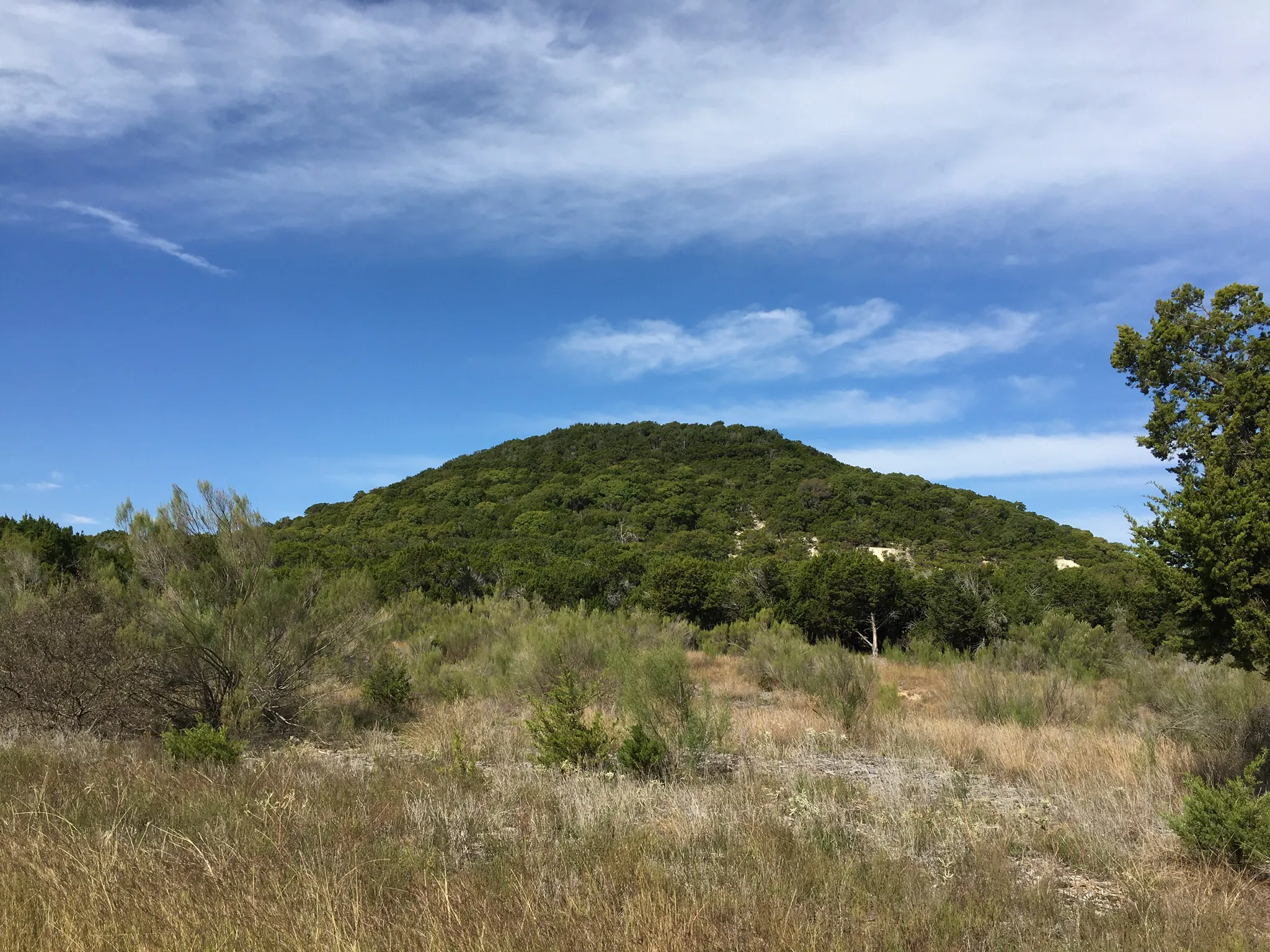 Dana Peak Park Loop
