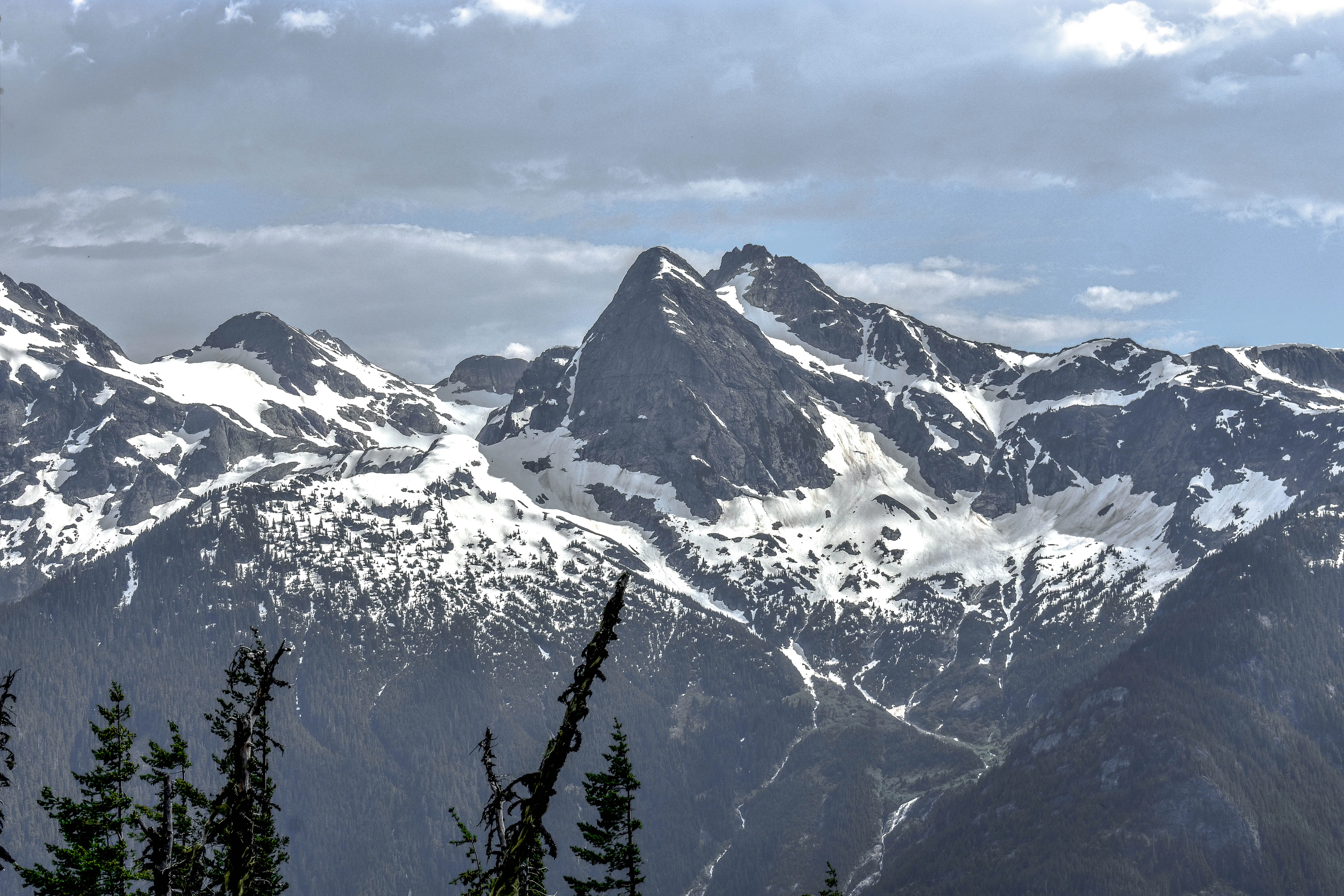 Sourdough Mountain Trail