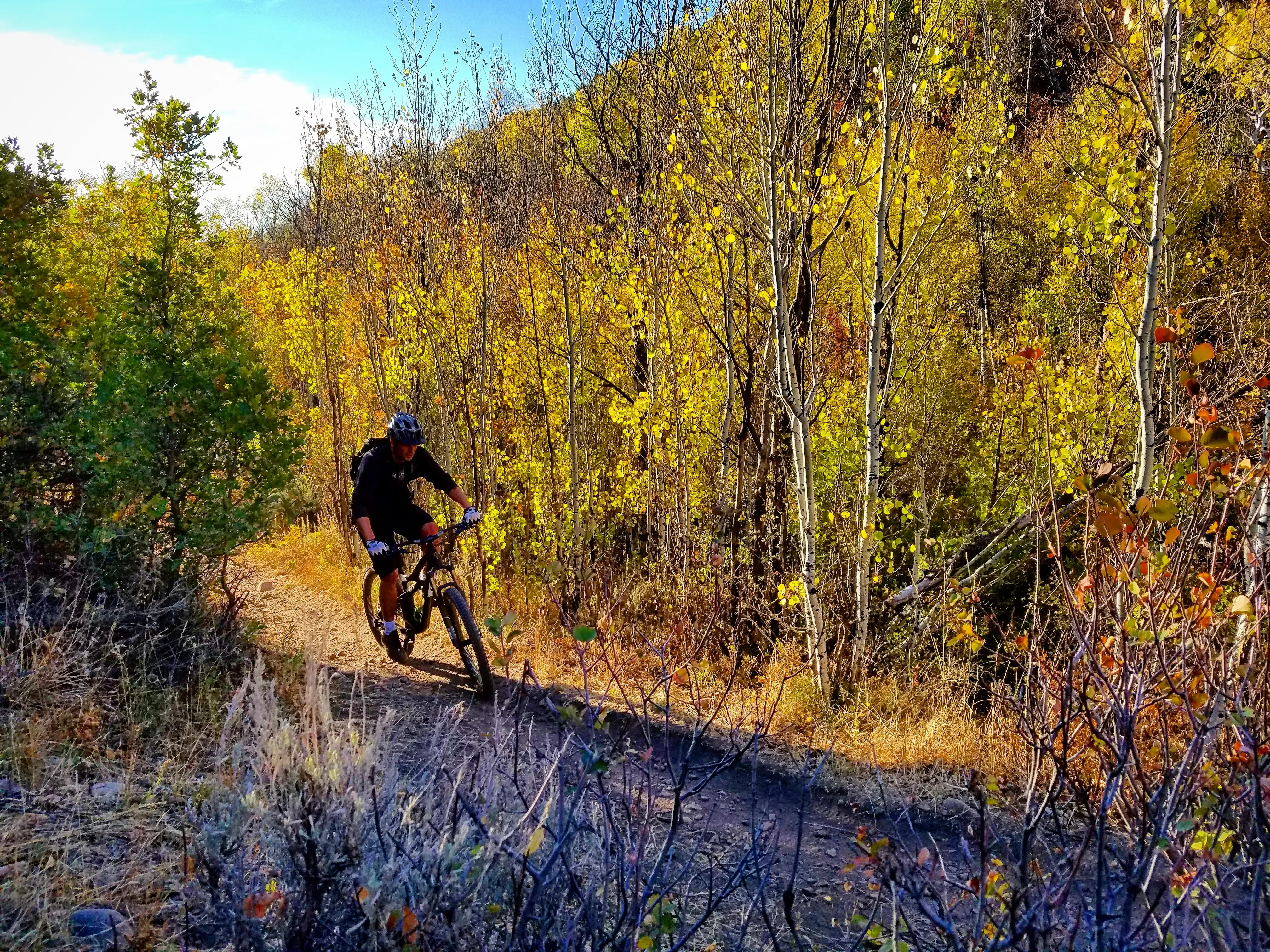 Mountain Bike the Genwild/Jeremy Ranch Trails