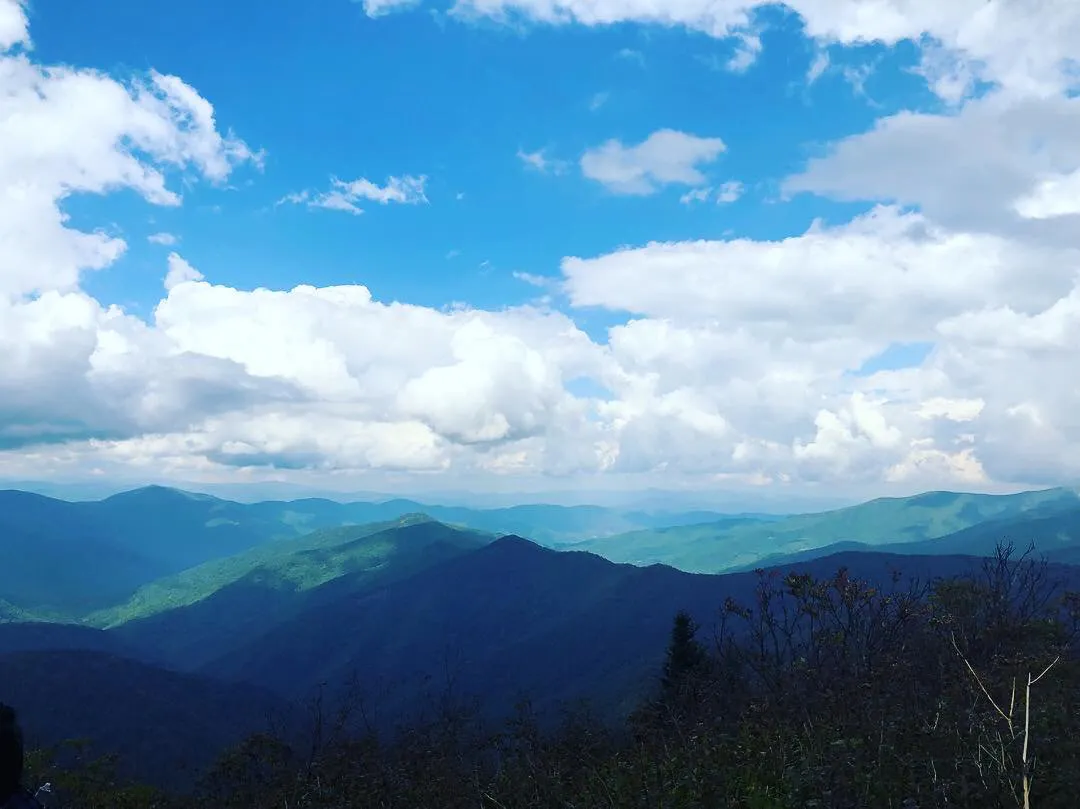 Sam Knob and Flat Laurel Creek Loop