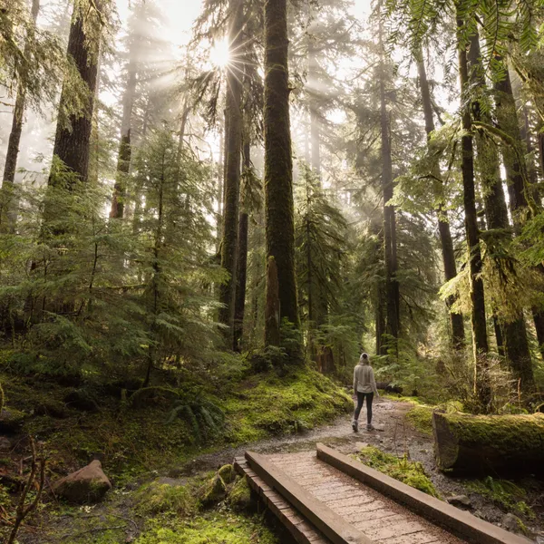 20 Photos that Capture the Beauty of Olympic National Park