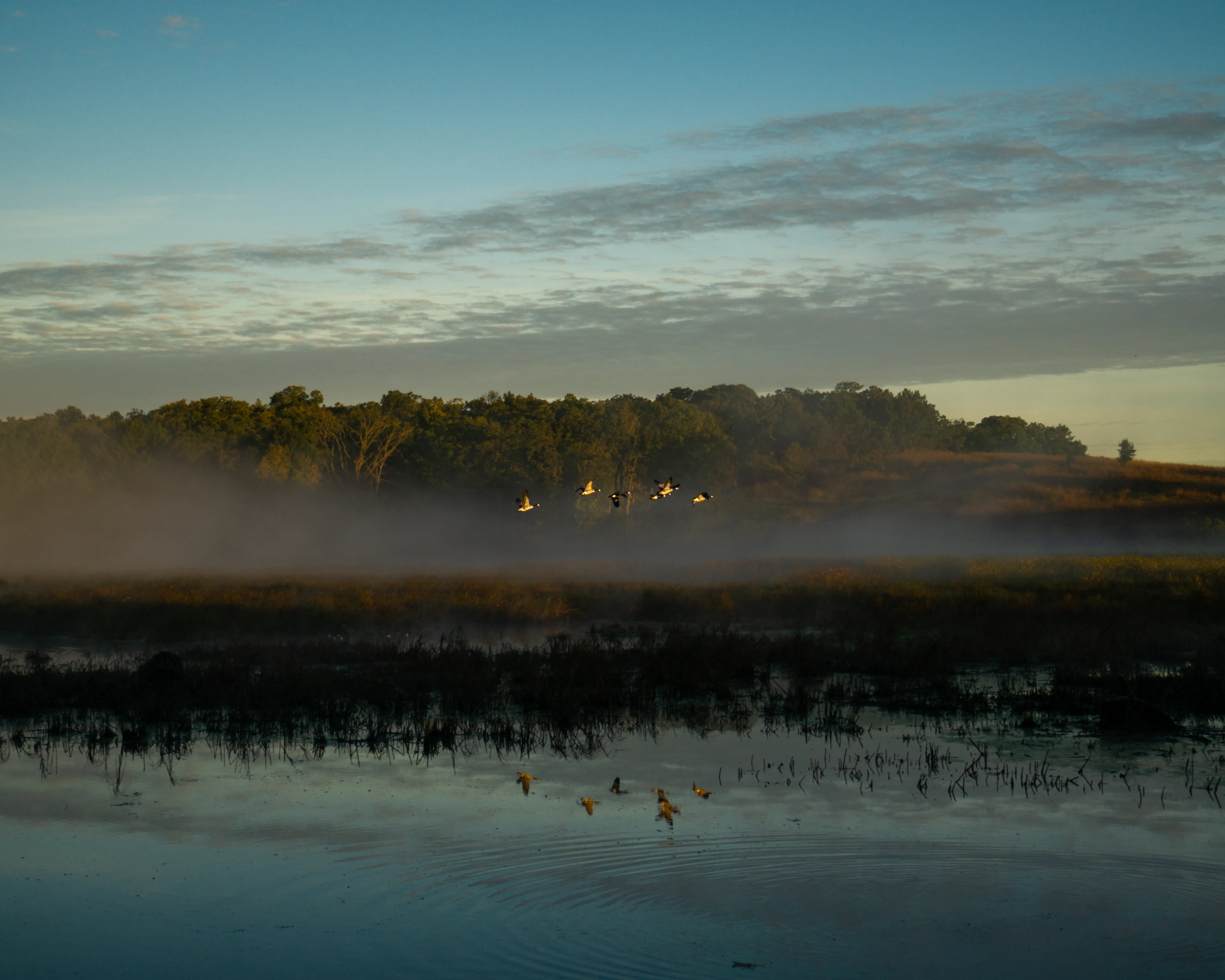 Hike the Glacial Park Loop Trail 