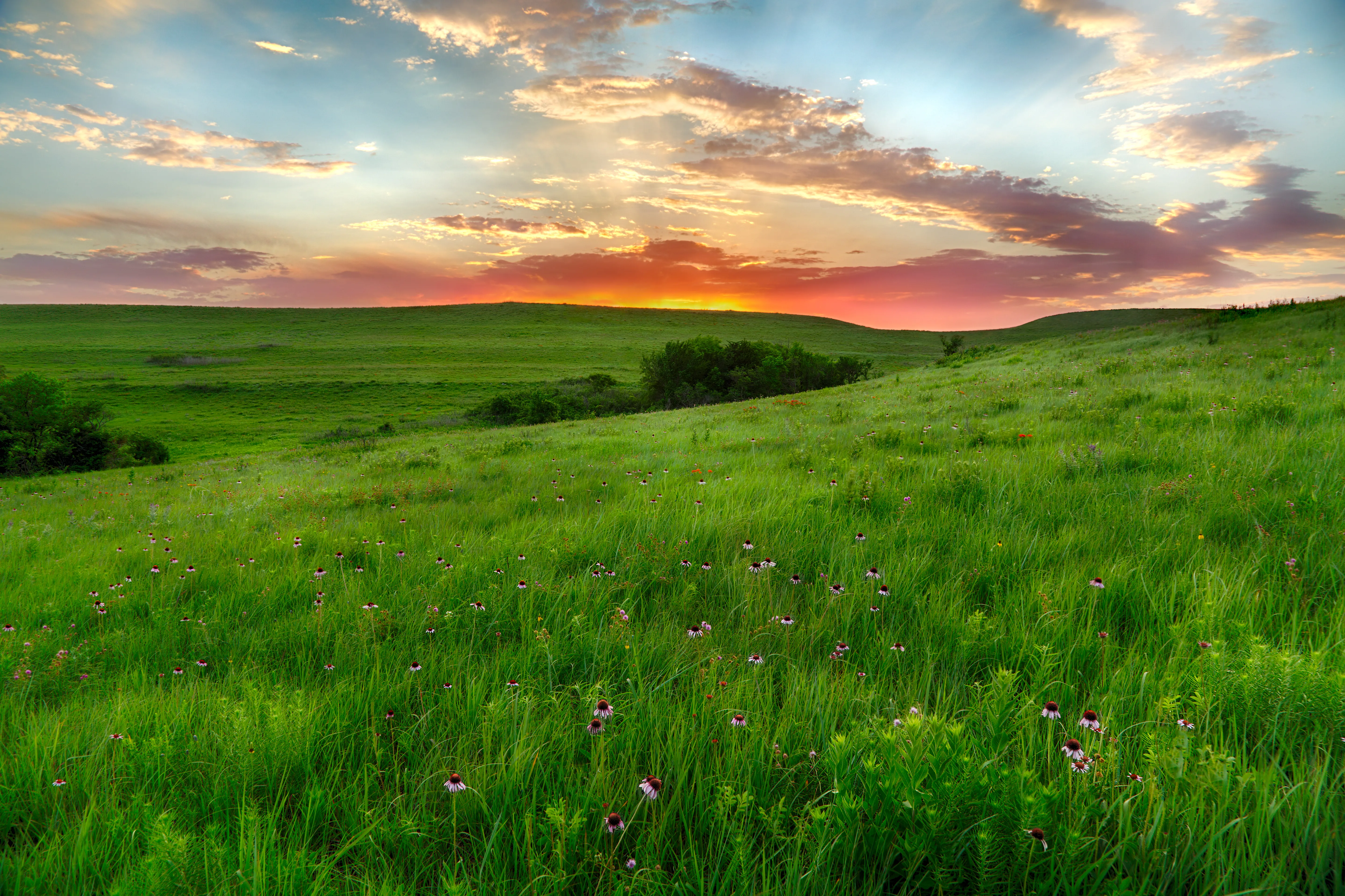 Konza Prairie Nature Trail