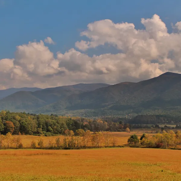 5 Must-Do Fall Adventures in the Smoky Mountains 