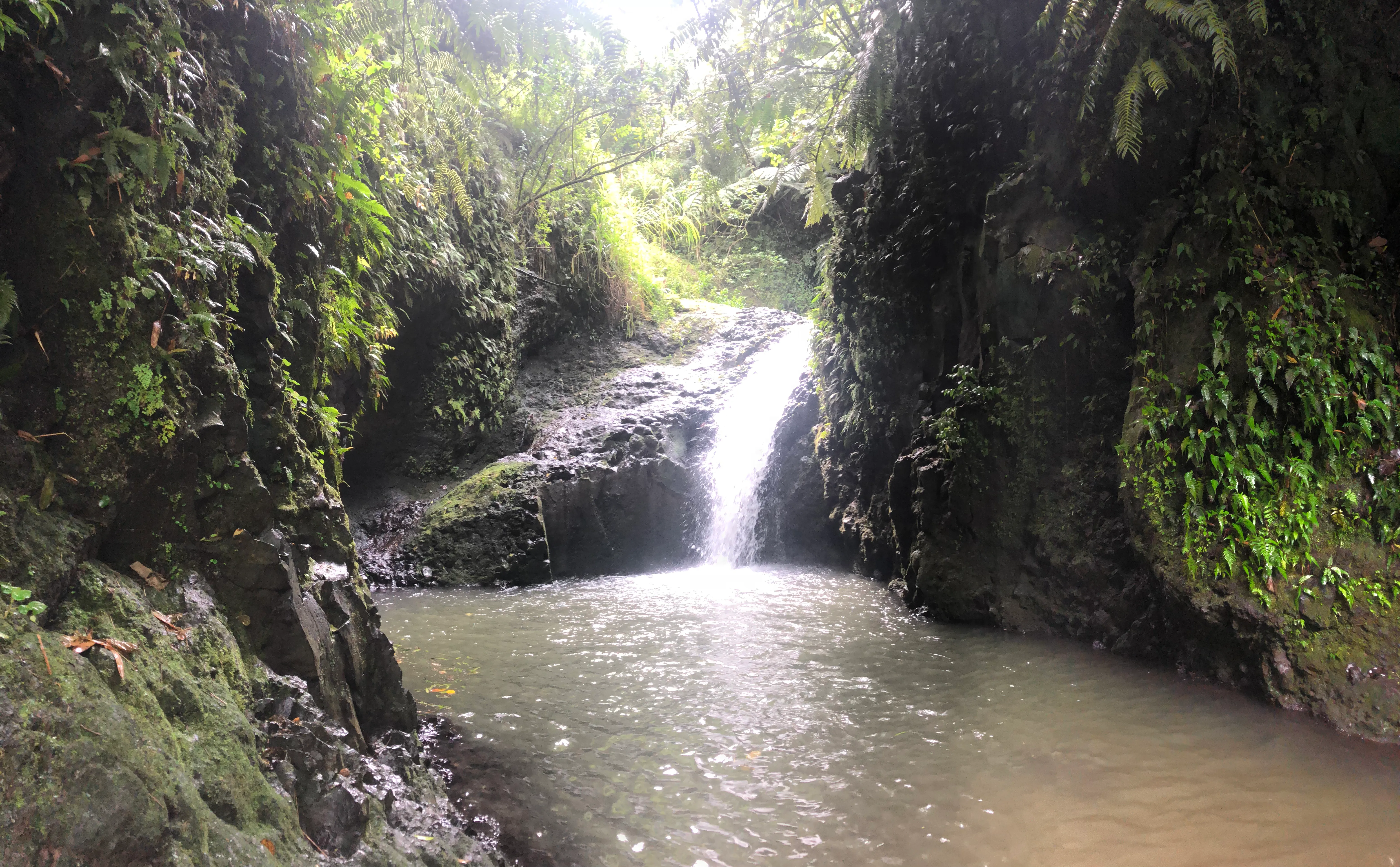 Maunawili Falls