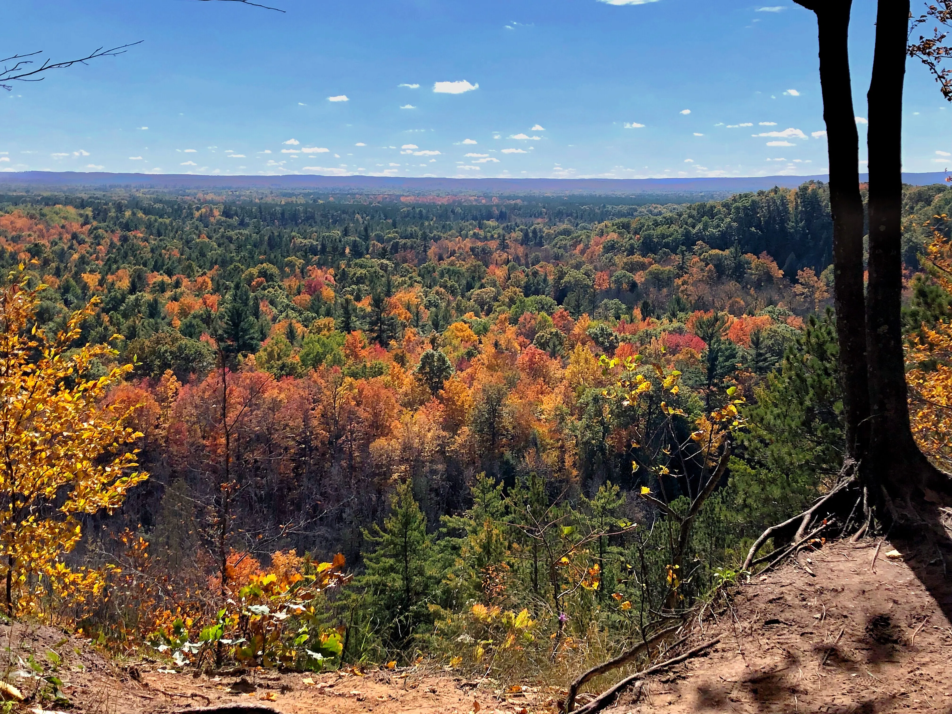 Hike the Rollways on the North Country Trail