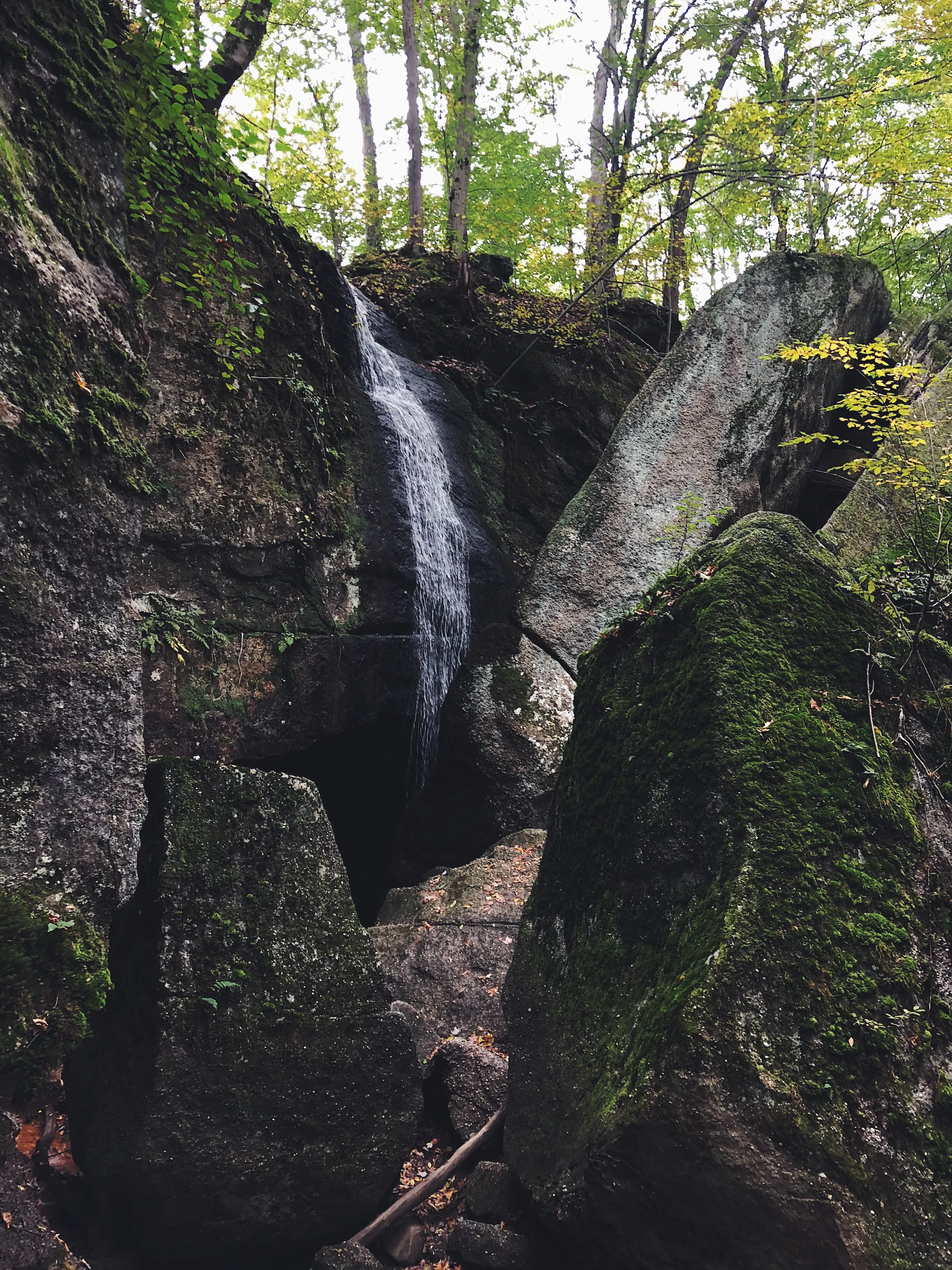 Hike Nelson Kennedy Ledges