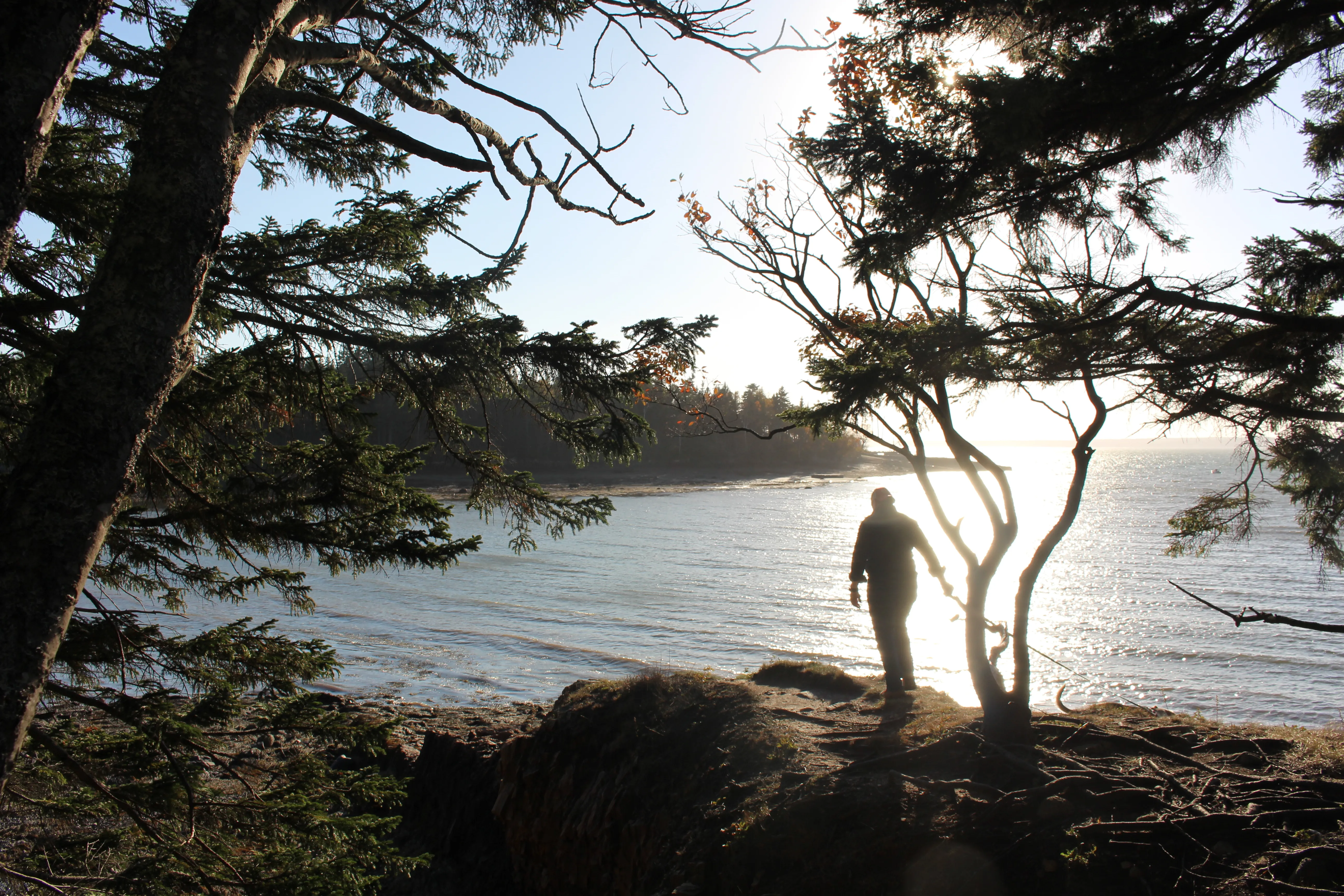 Roque Bluffs State Park Loop