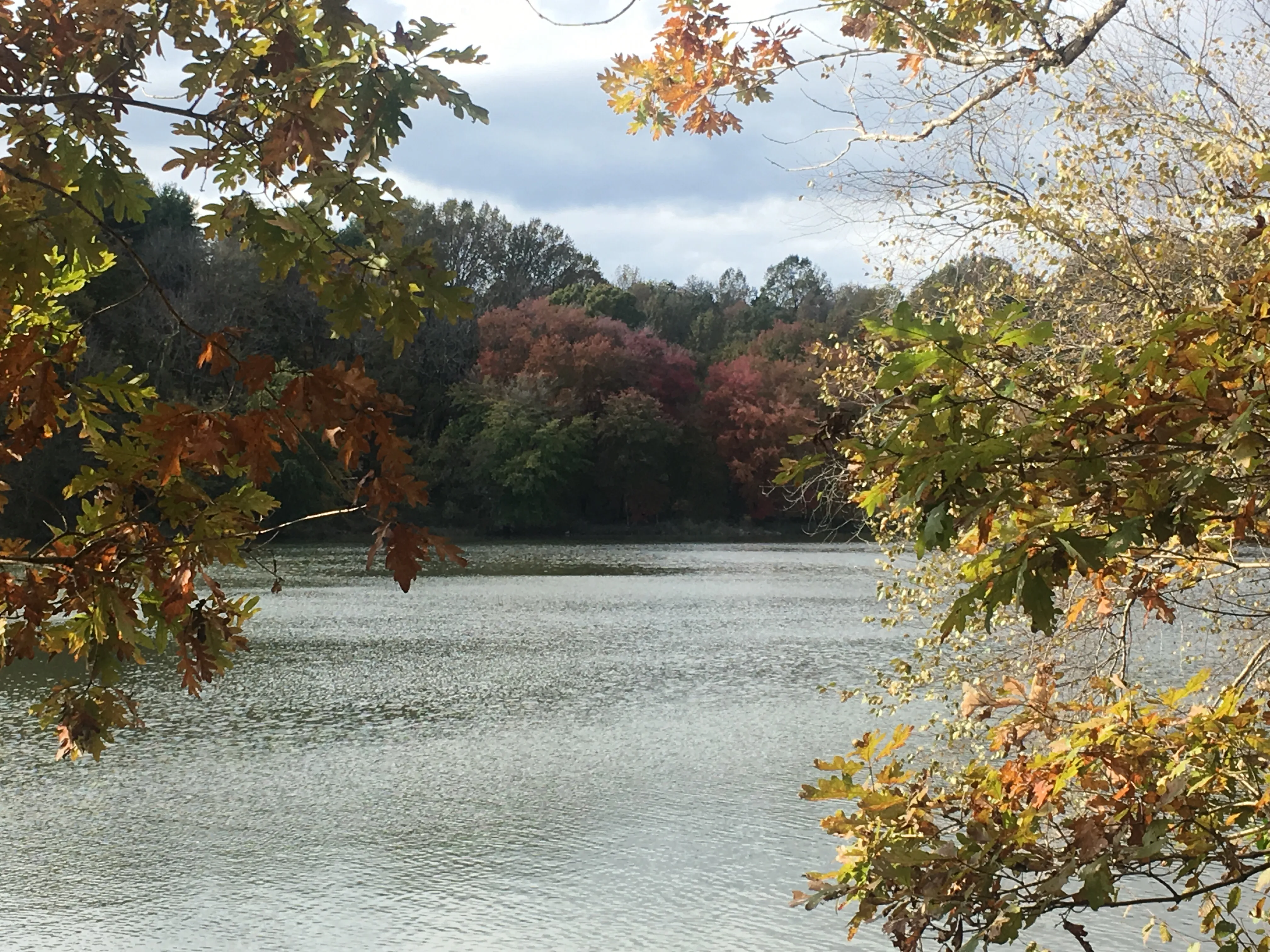 Hike, Bike, or Run the Lakeside Trail and Muncaster Mill Trail