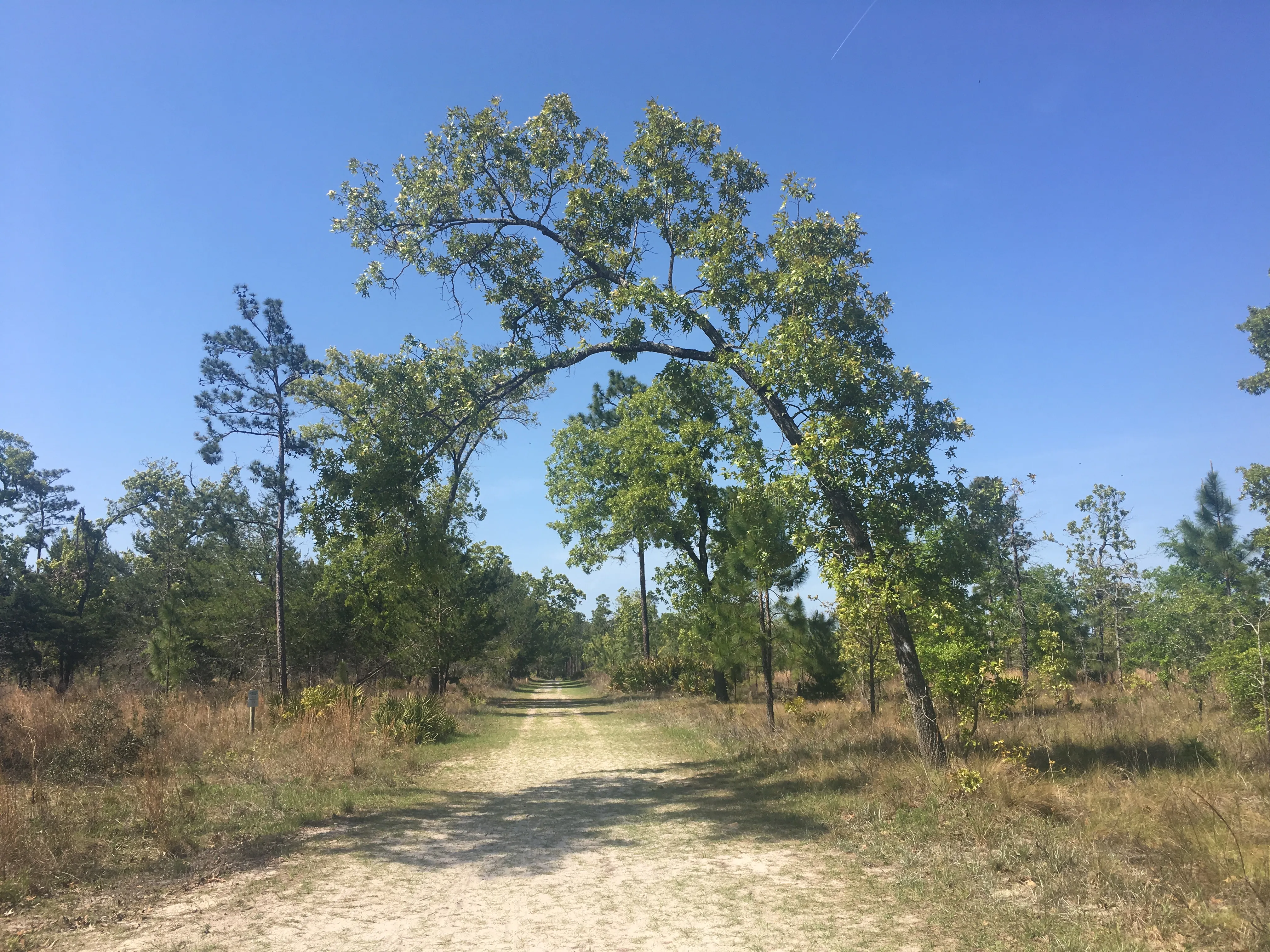 Explore Durbin Preserve
