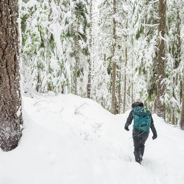 10 Must-Do Winter Adventures near Portland, Oregon