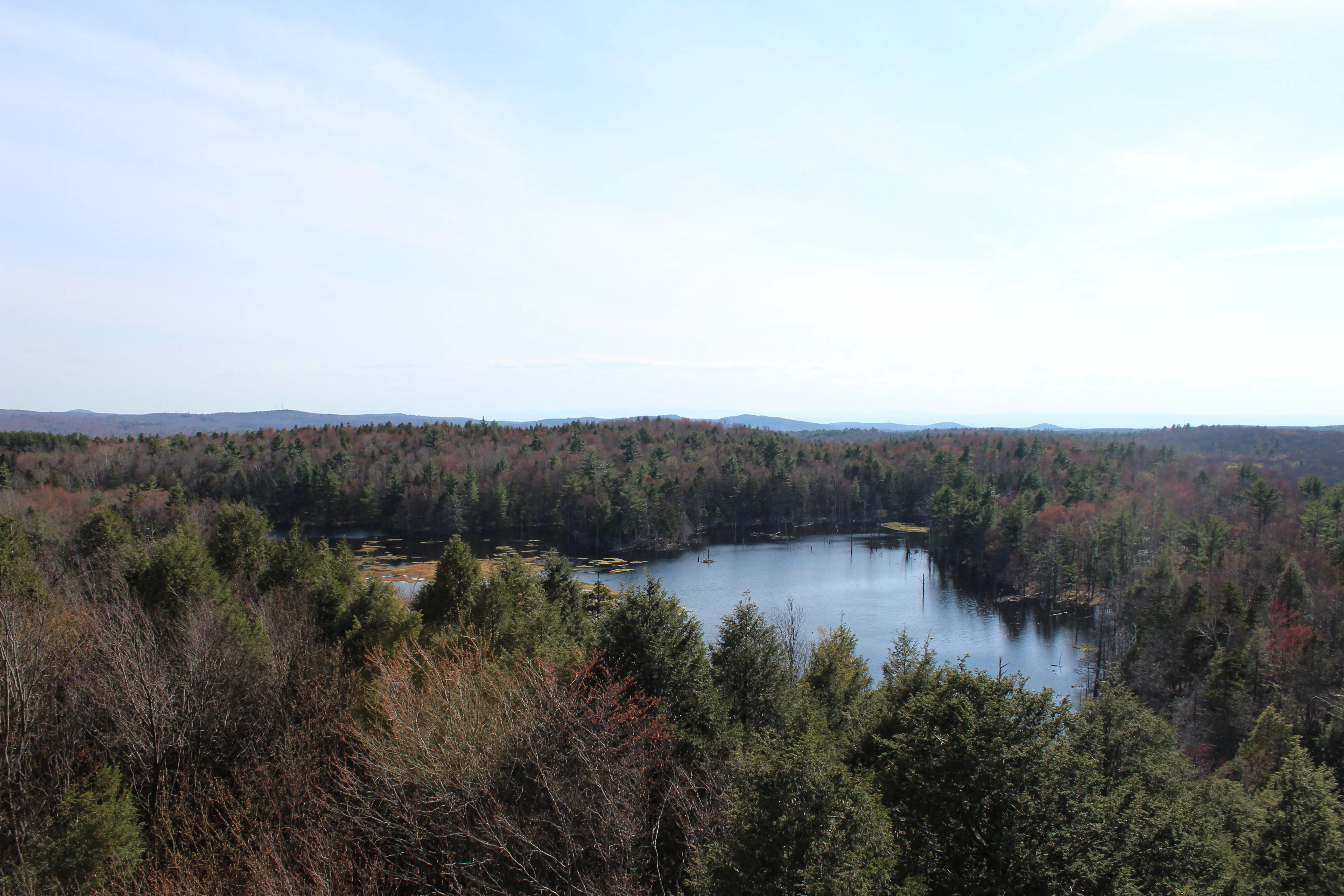 Hike Dickinson Hill Fire Tower 