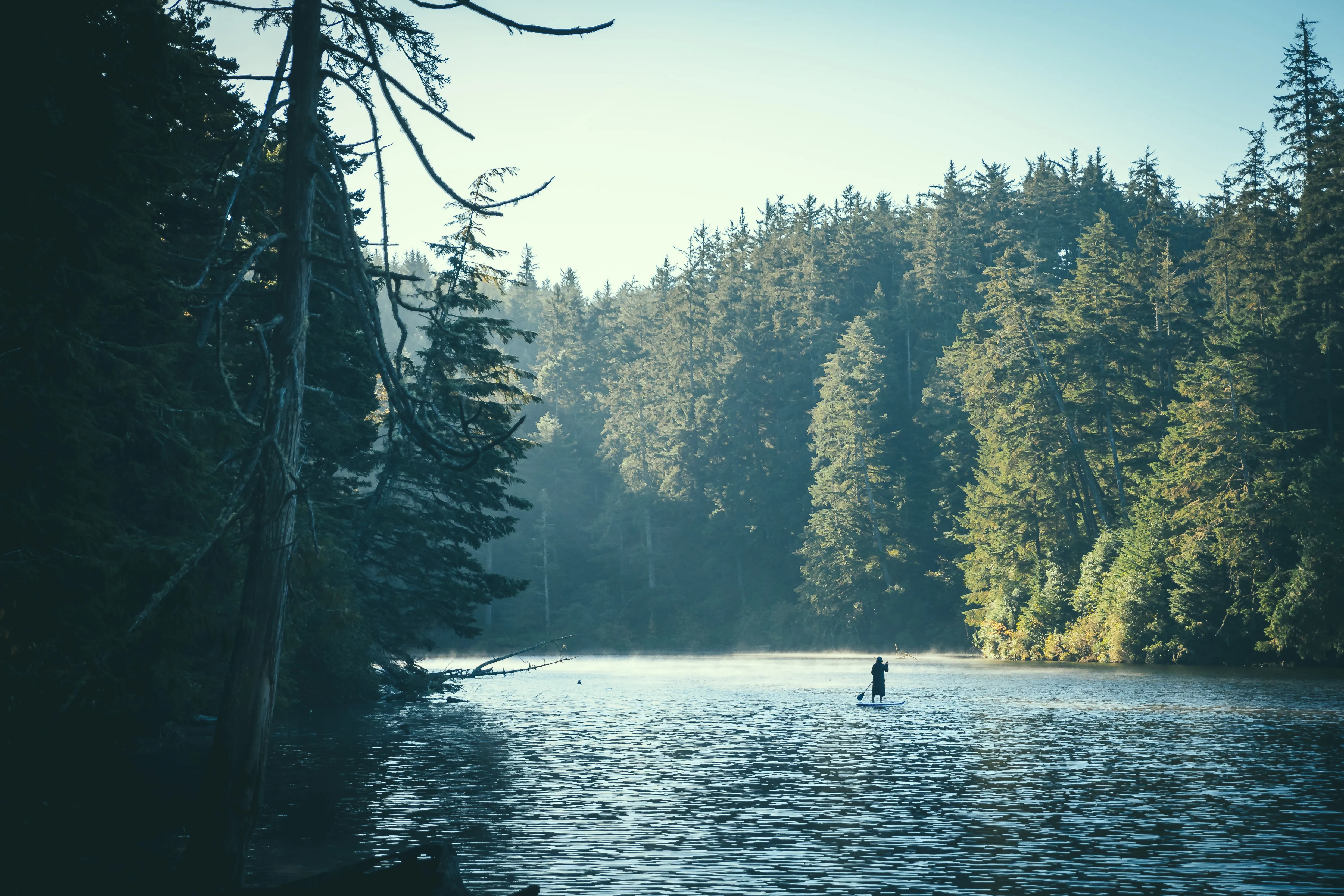 Paddleboard Lake Marie at the Umpqua Lighthouse State Park