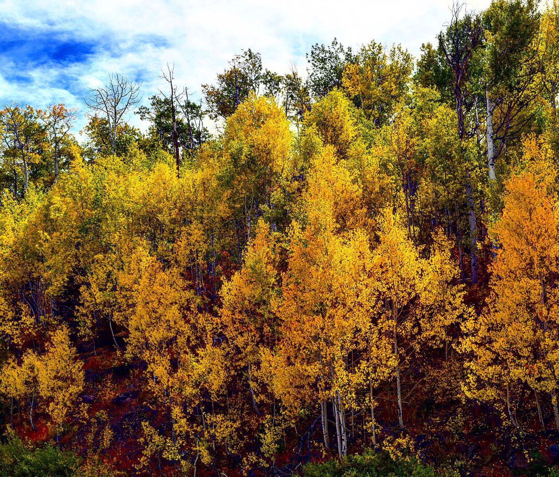 Grand Mesa Scenic Byway, De Beque, Colorado | The Outbound