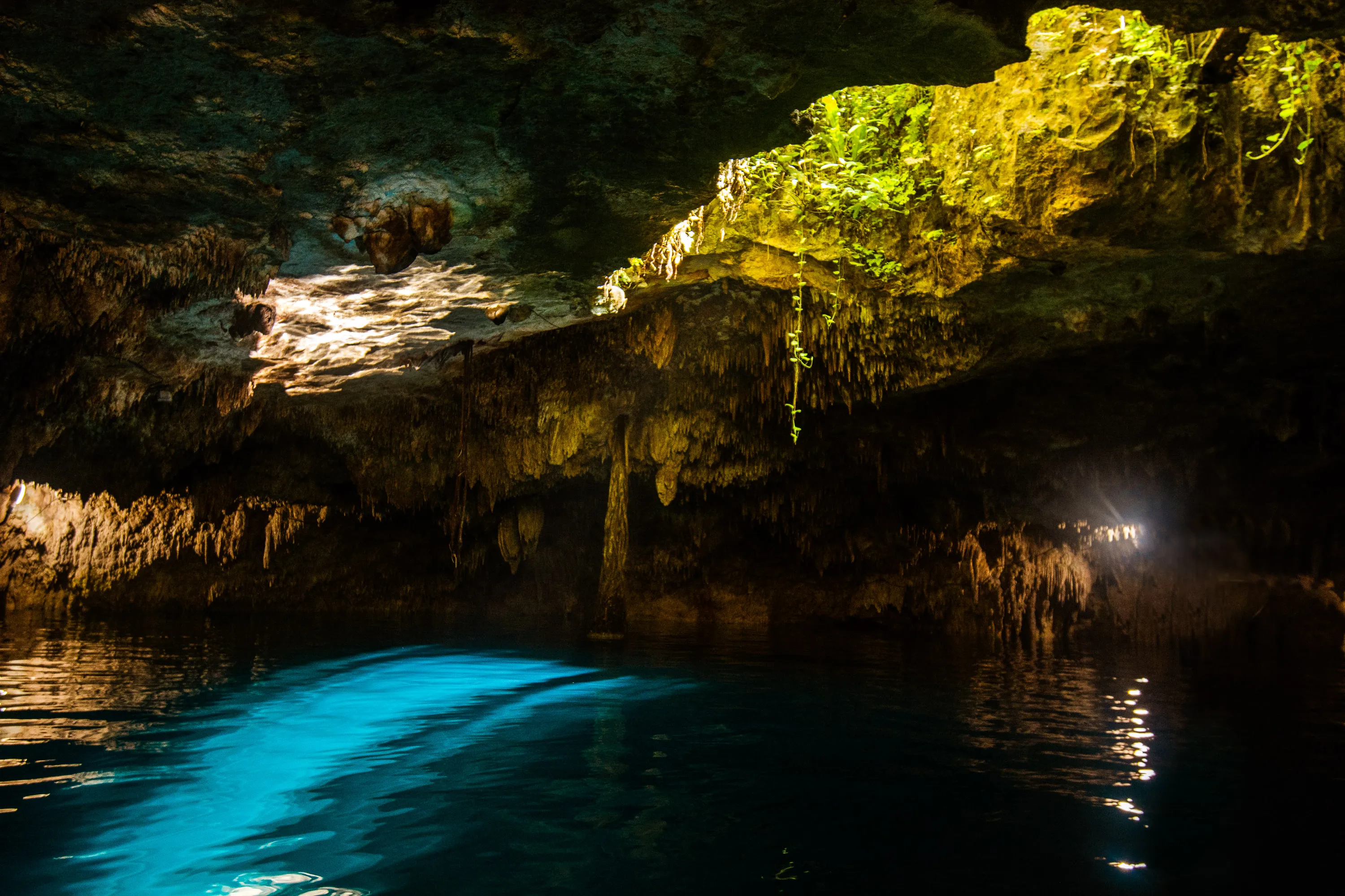 Explore Kin-Ha Cenote