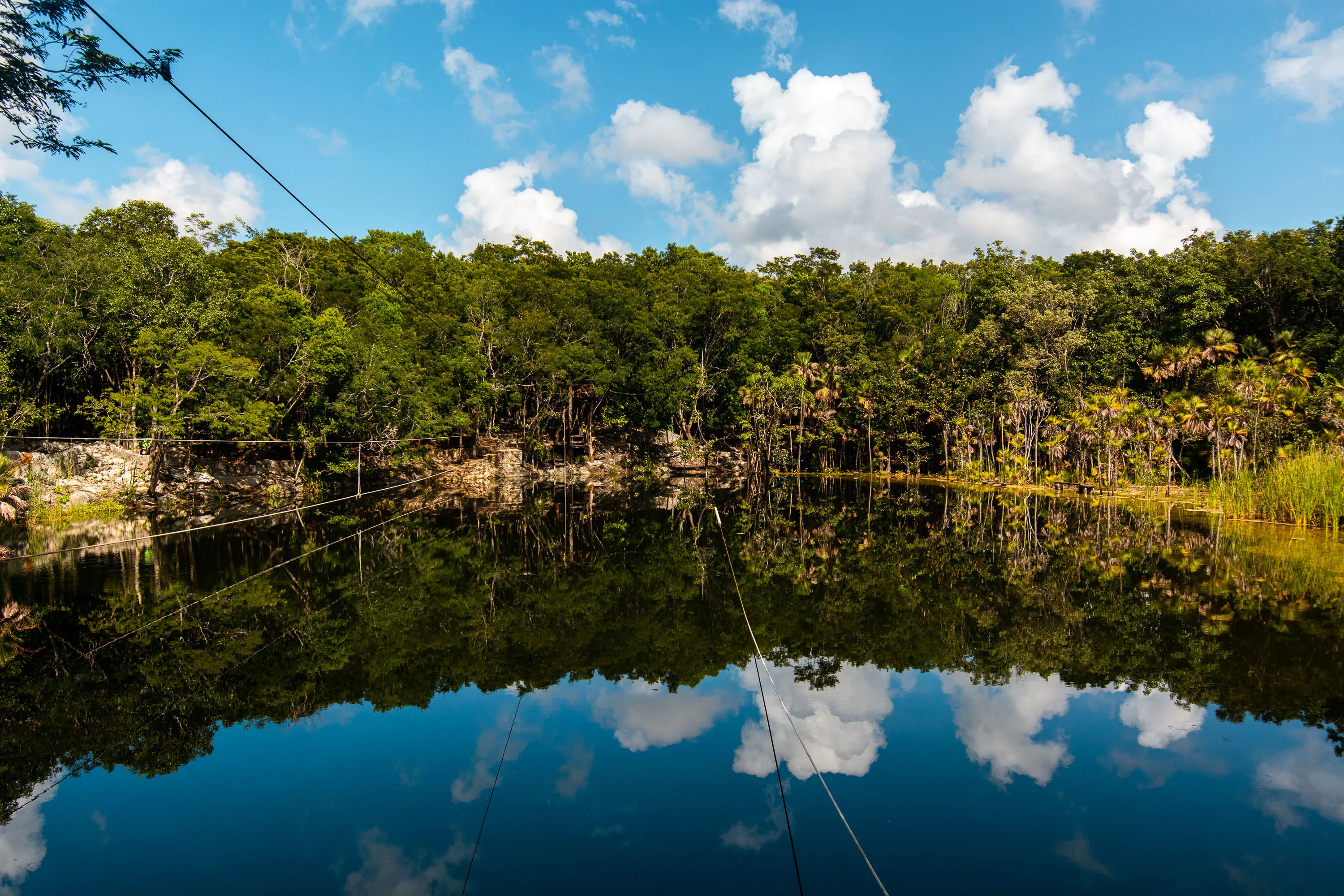 Swim in Cenote Las Mojarras