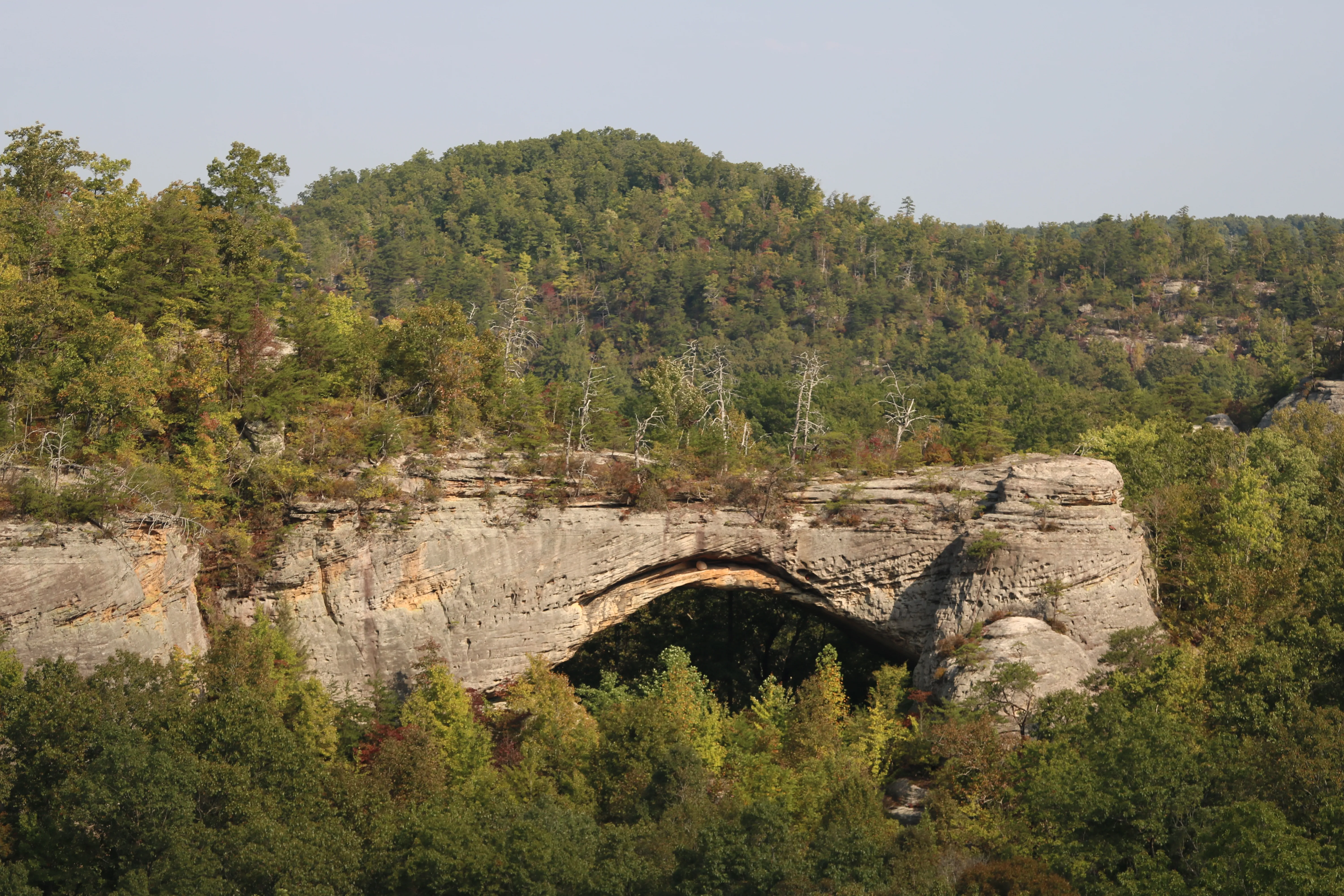 Hike to Natural Arch in Daniel Boone National Forest