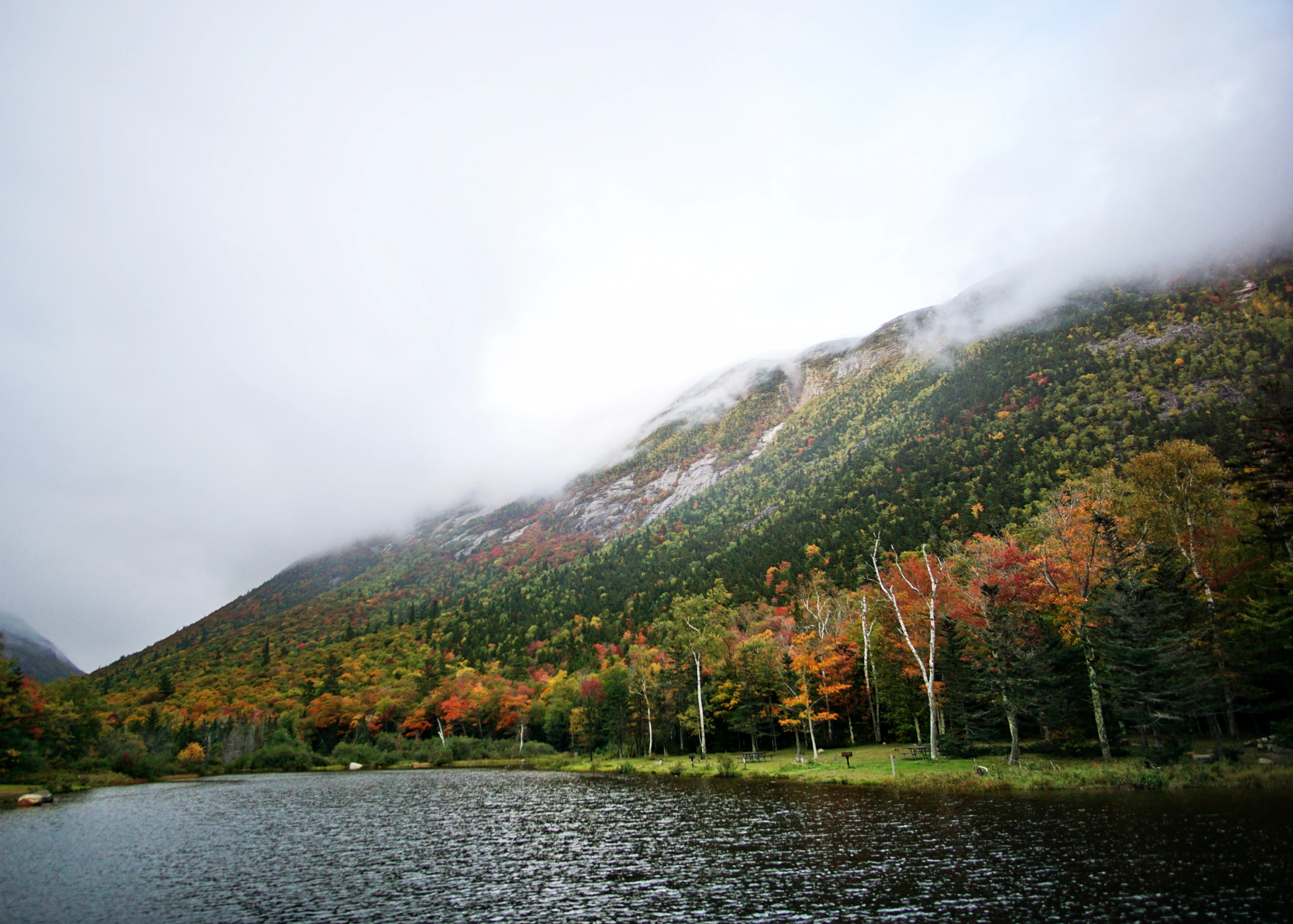 Hike the Tom, Field, Willey and Avalon Traverse