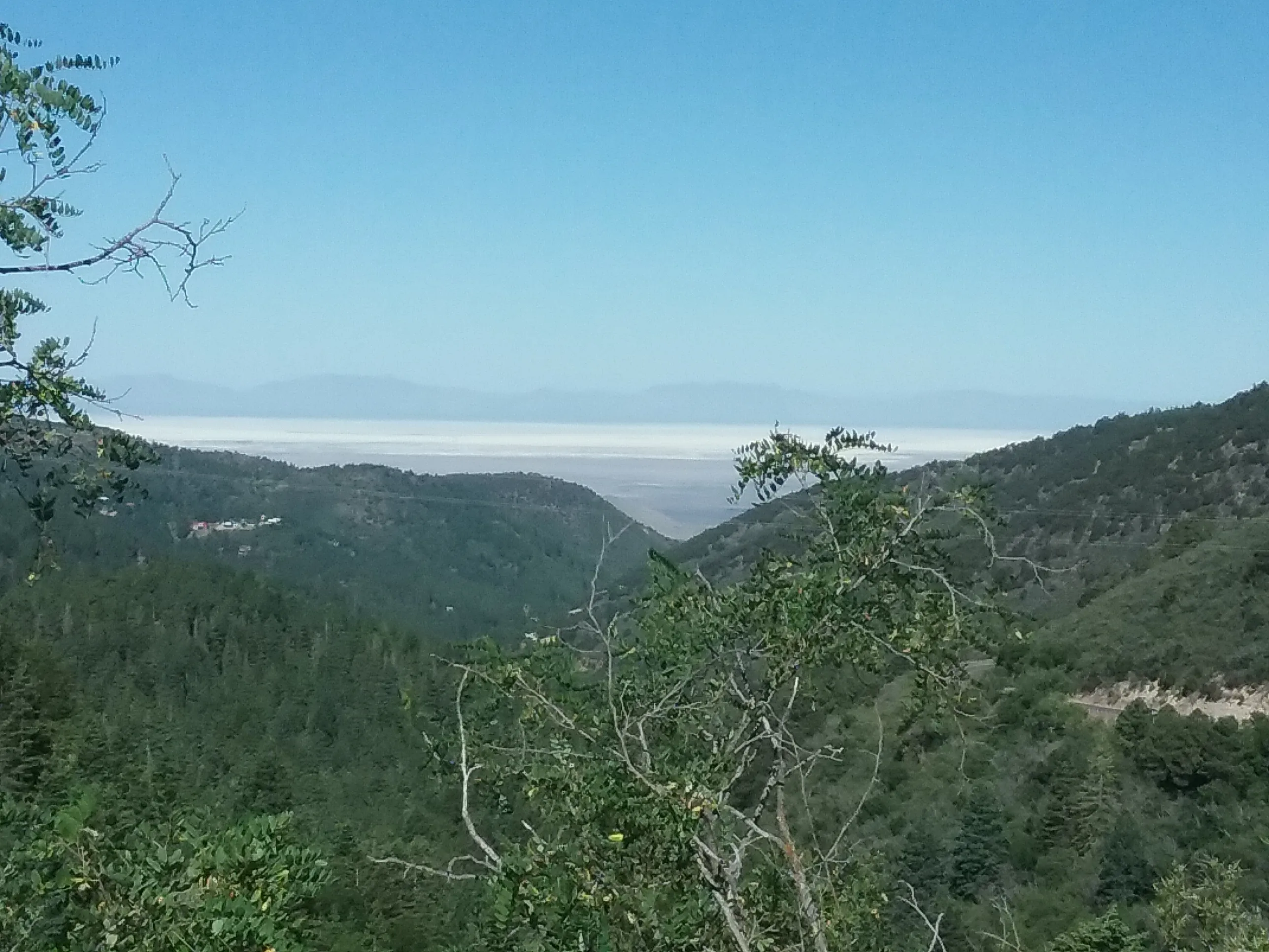 Osha Loop Trail