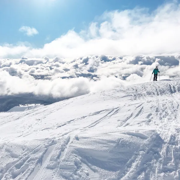 A Beginner's Guide to Snowshoeing