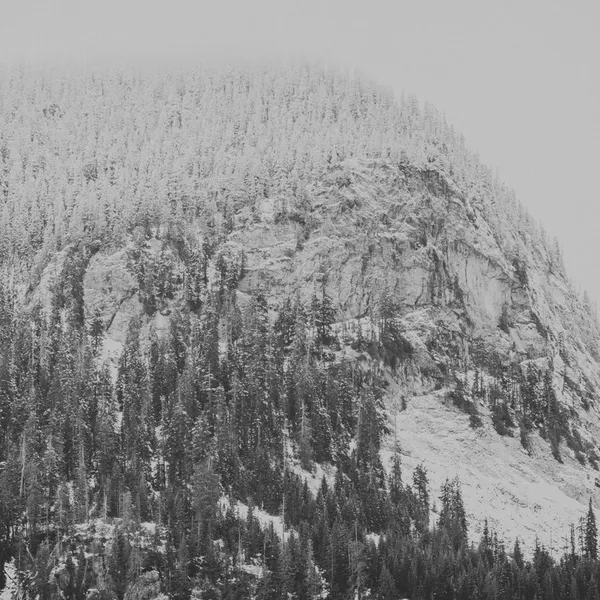 Snoqualmie Pass Is the Perfect Snow Day Adventure Destination