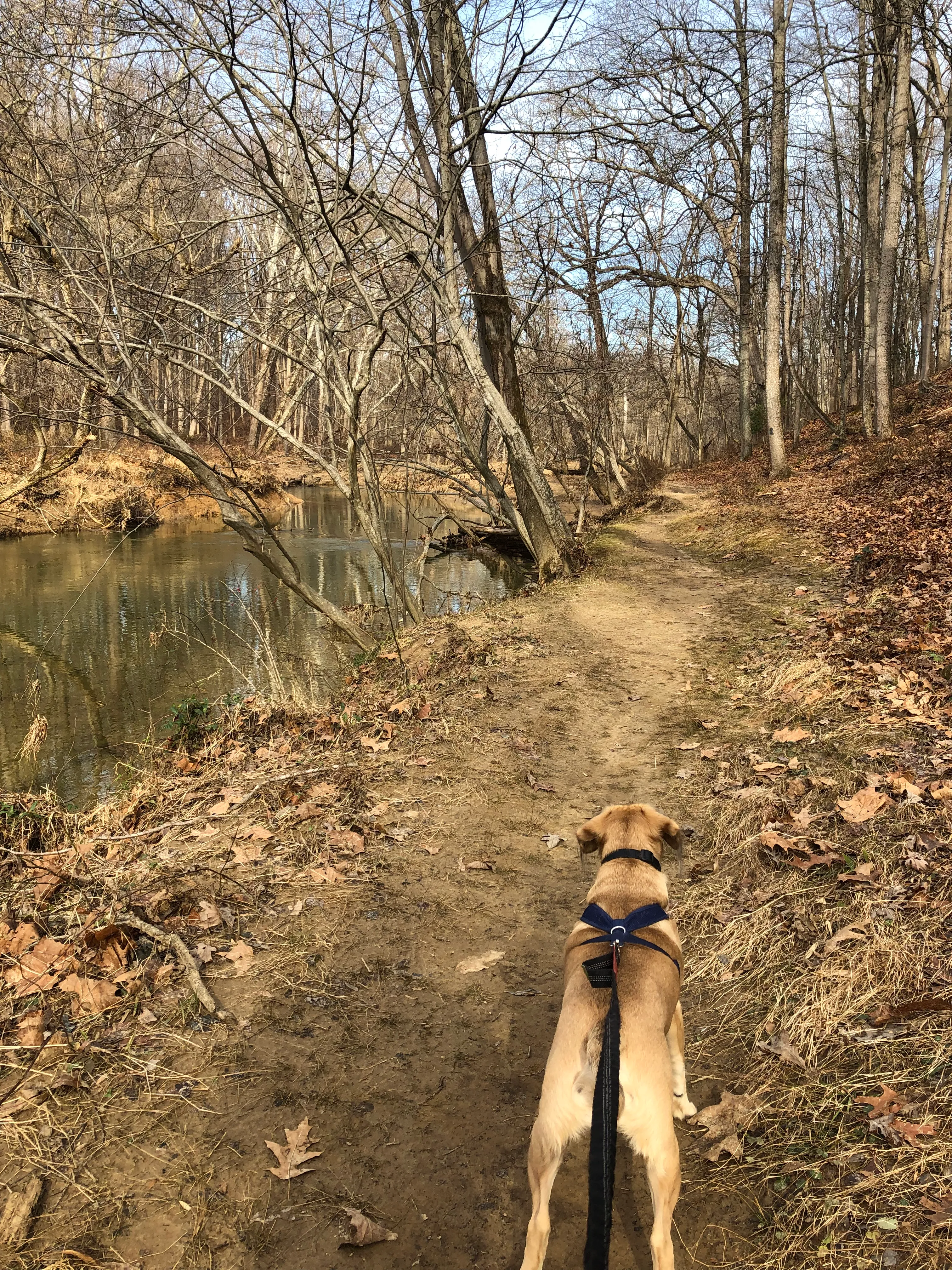  Hike the Seneca Creek Greenway Trail Upper Section