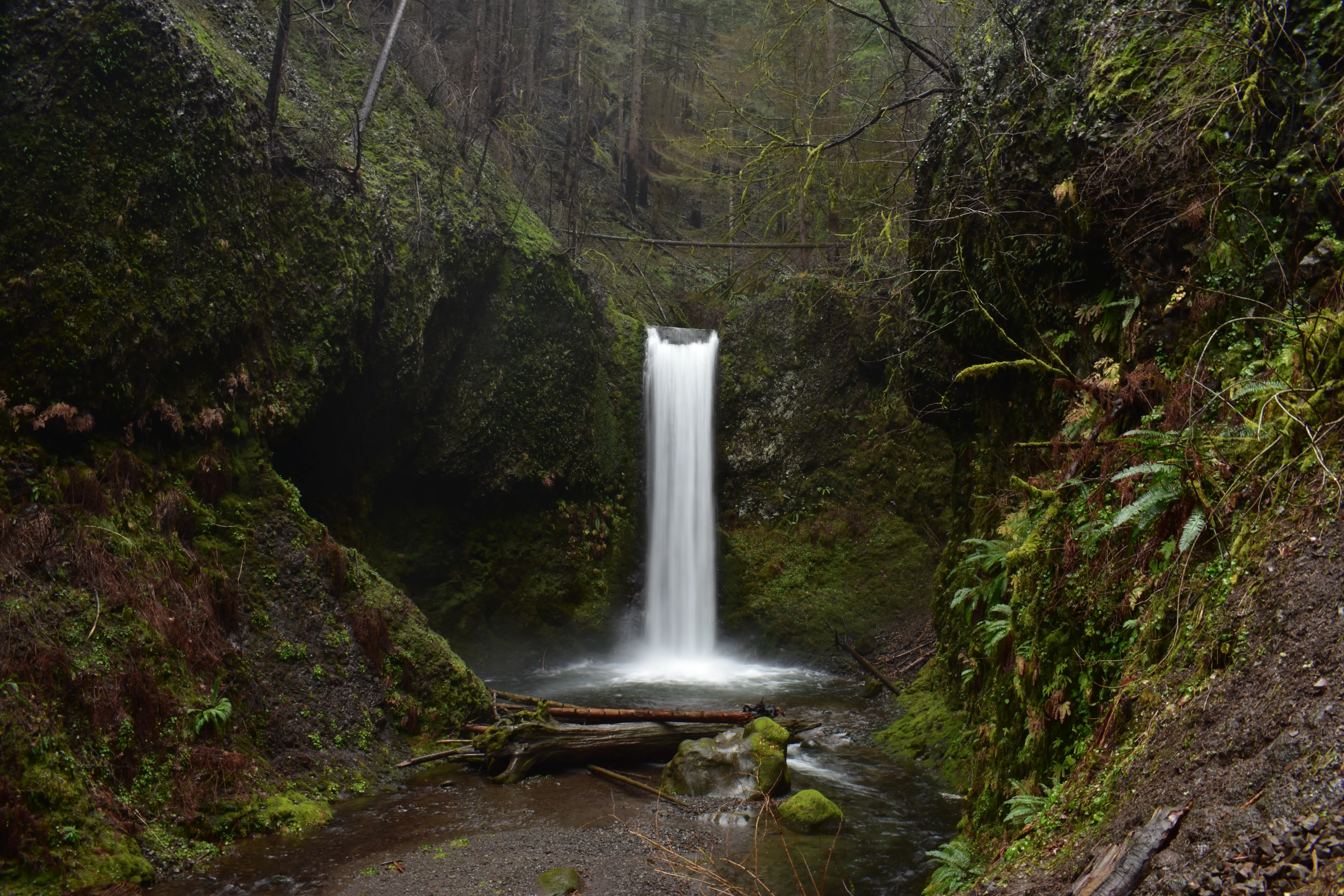 Wiesendanger Falls 