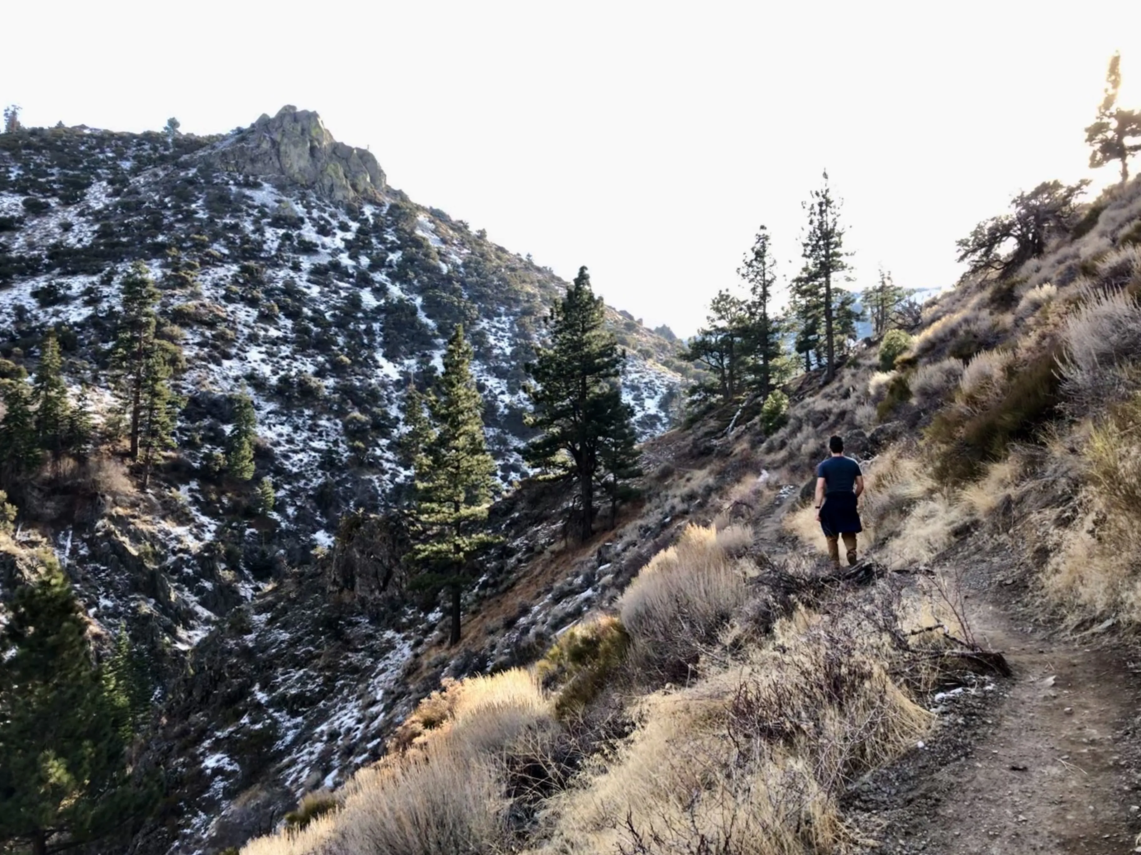 Hunter Creek Trail