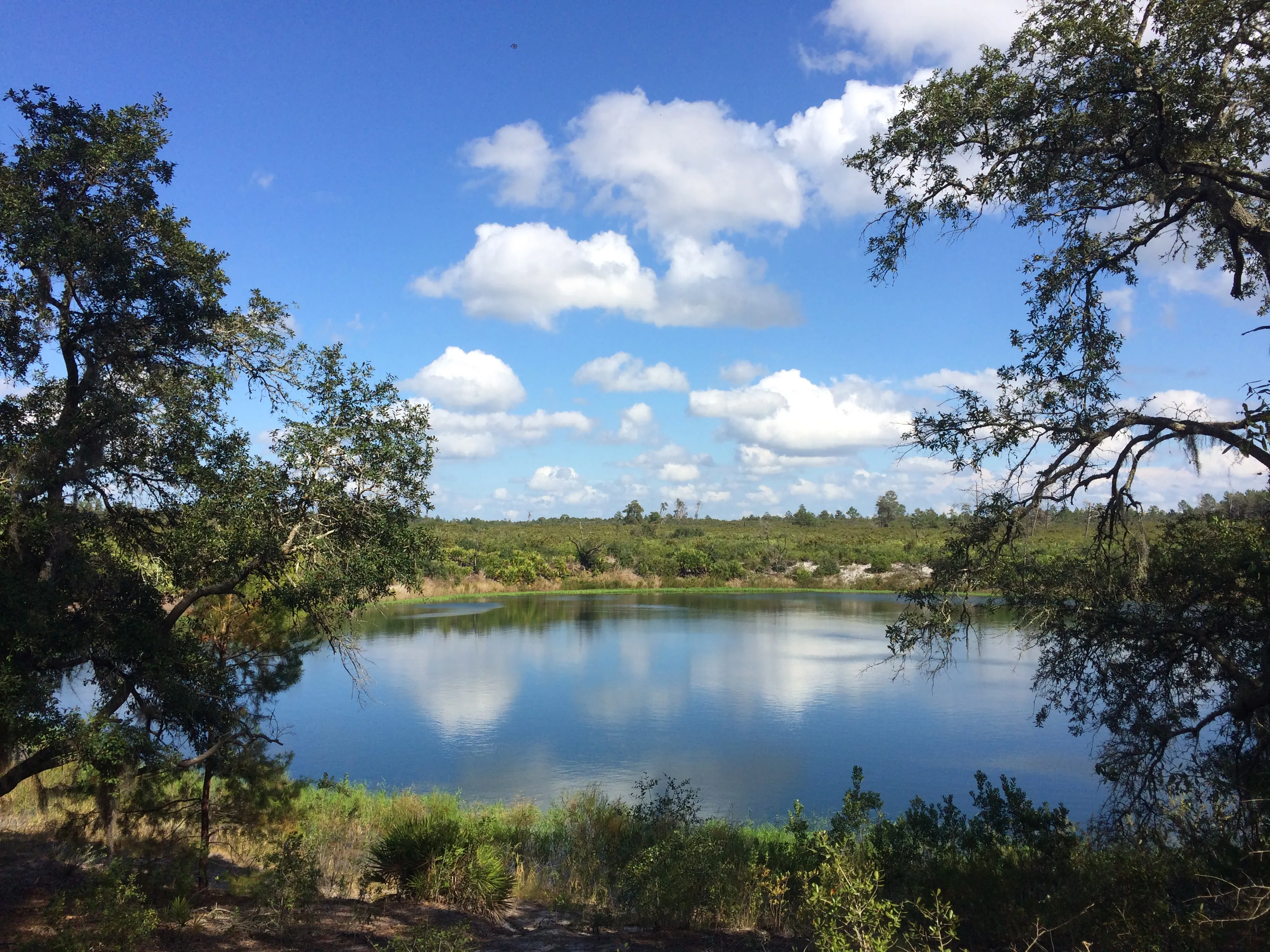 Hike at Mike Roess Gold Head Branch State Park