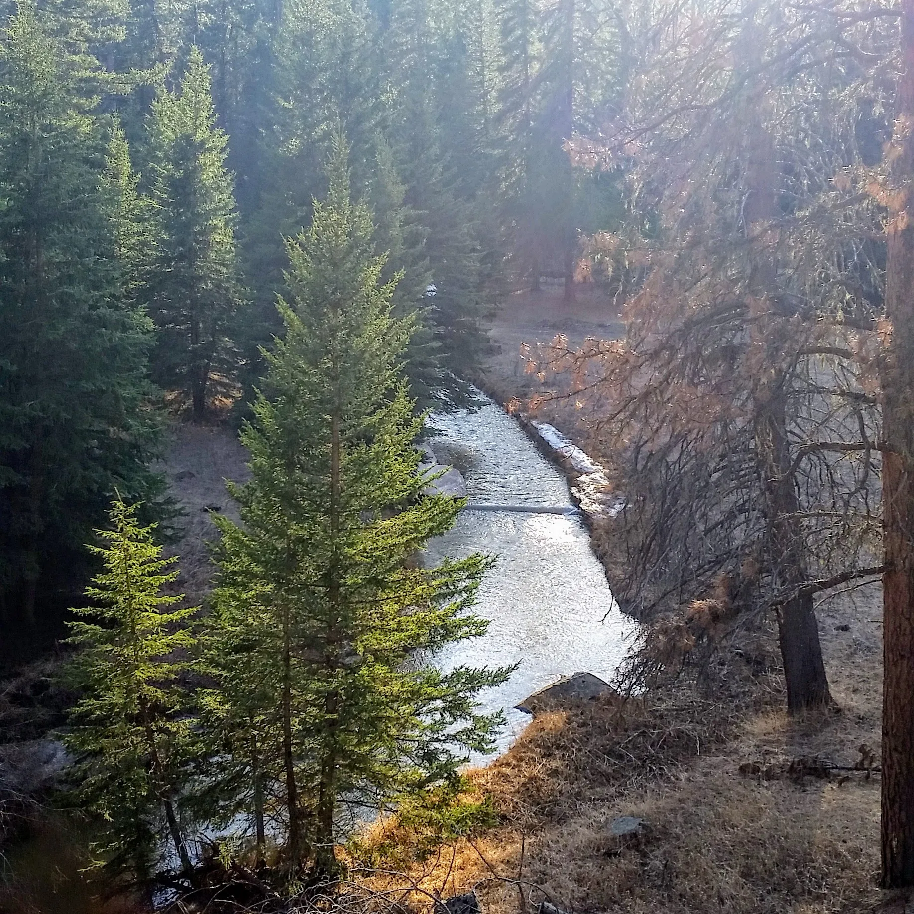 Camp at Castle Creek Campground