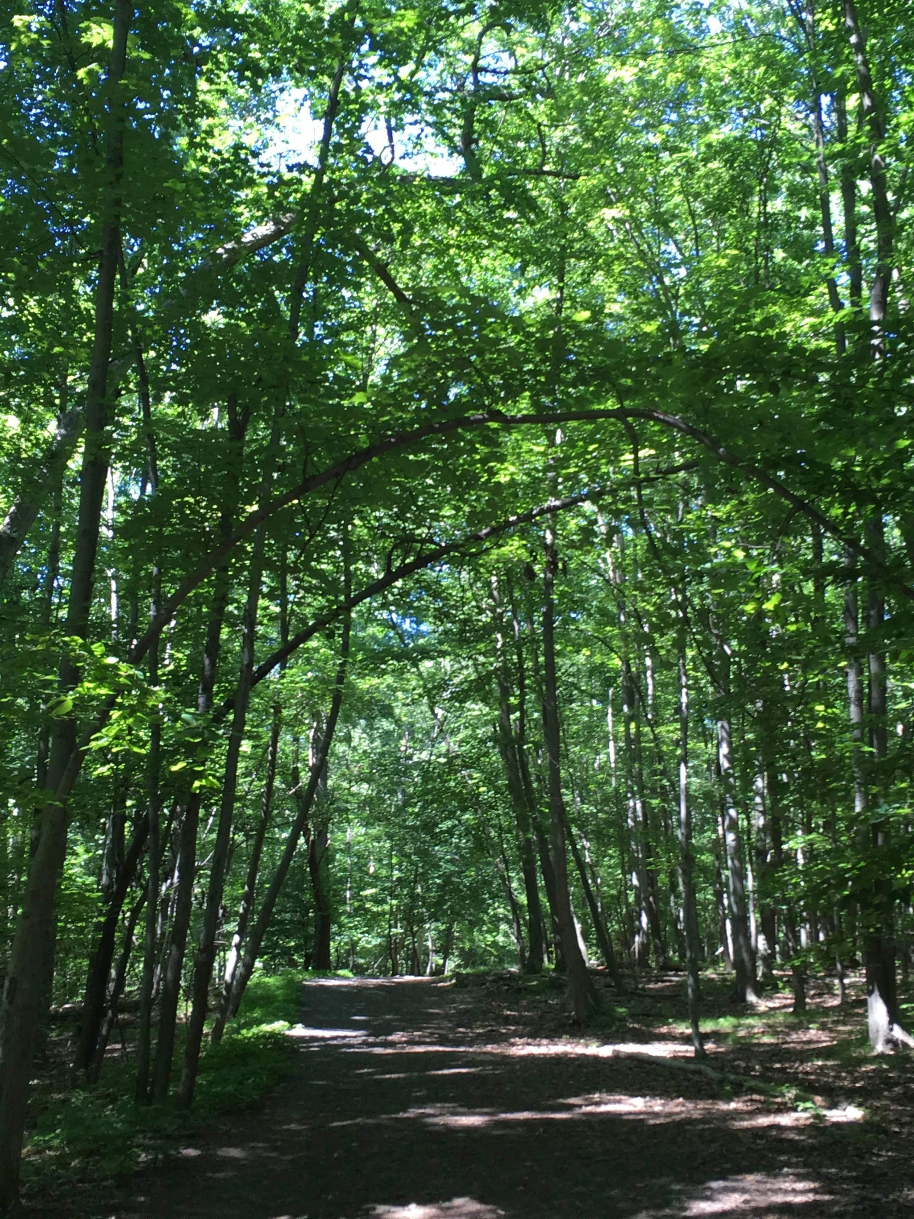 Hike at Mills Reservation