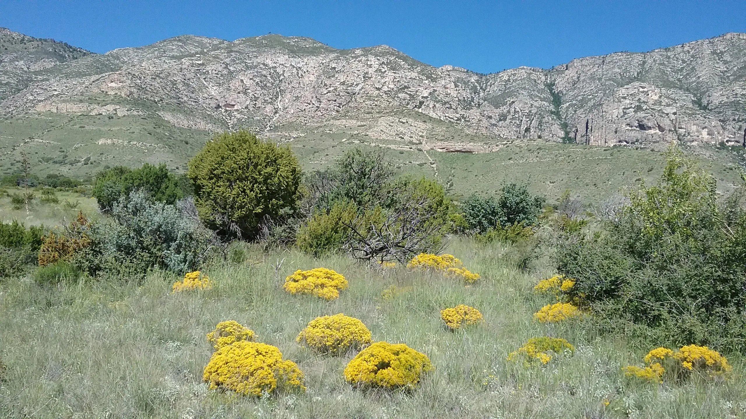 Smith Springs Loop