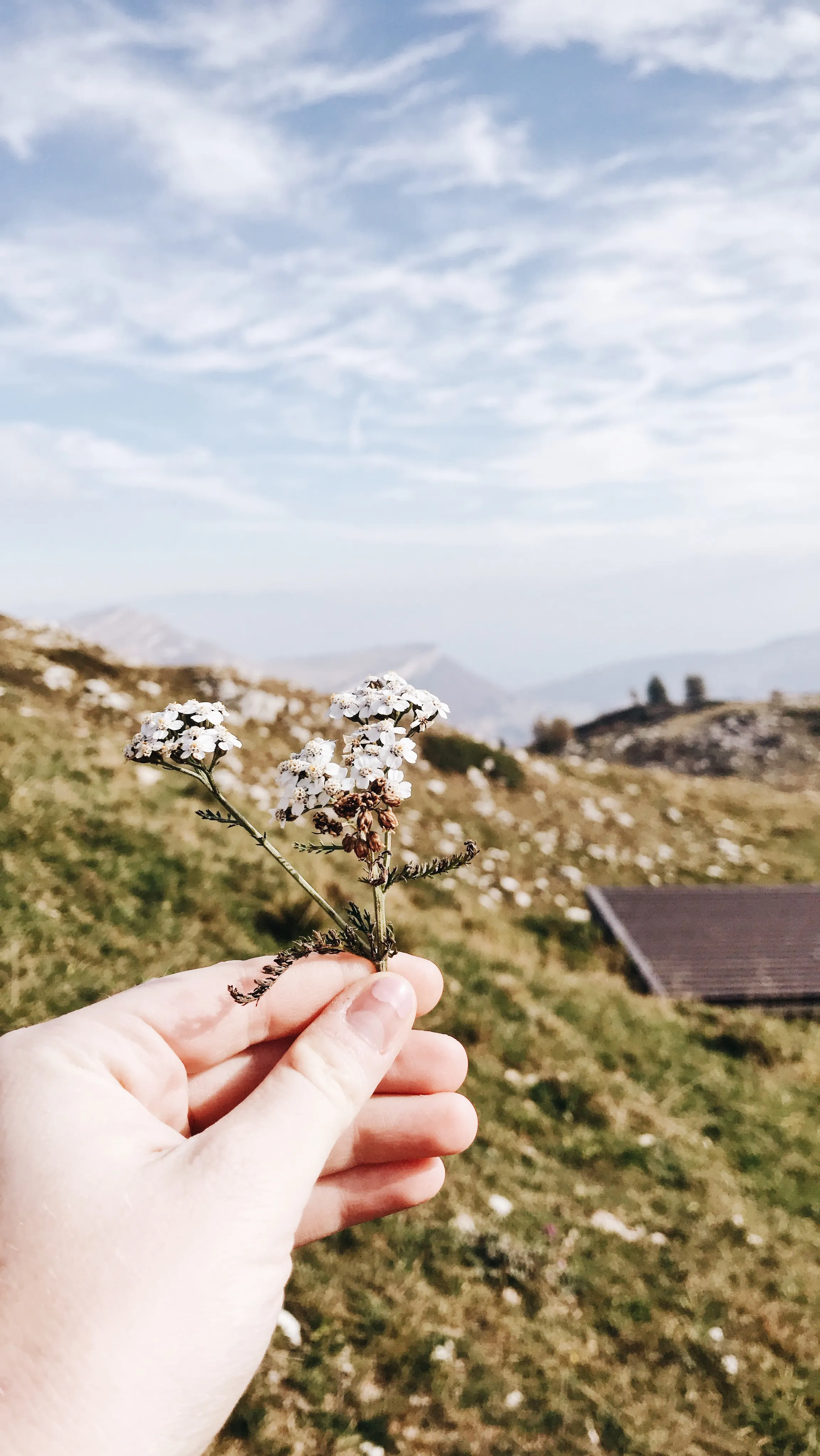 Explore Monte Baldo