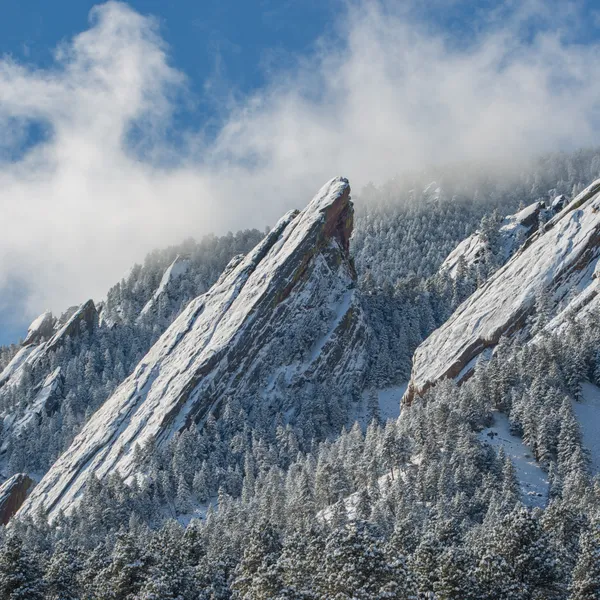 How the Wilderness Saved Me While Living with Chronic Pain