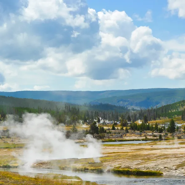 Saving Our National Parks