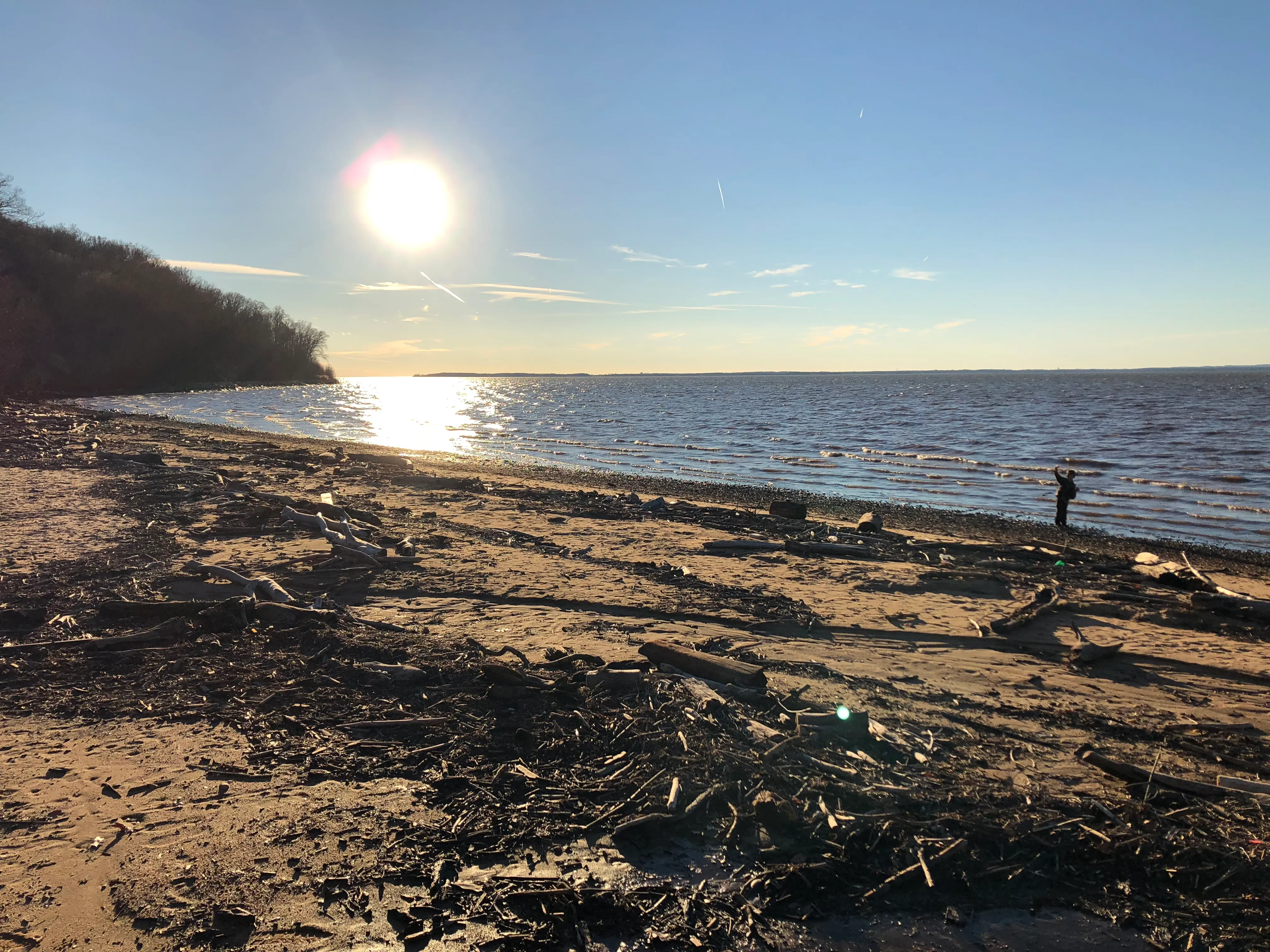 Hike the Elk Neck State Forest Trails