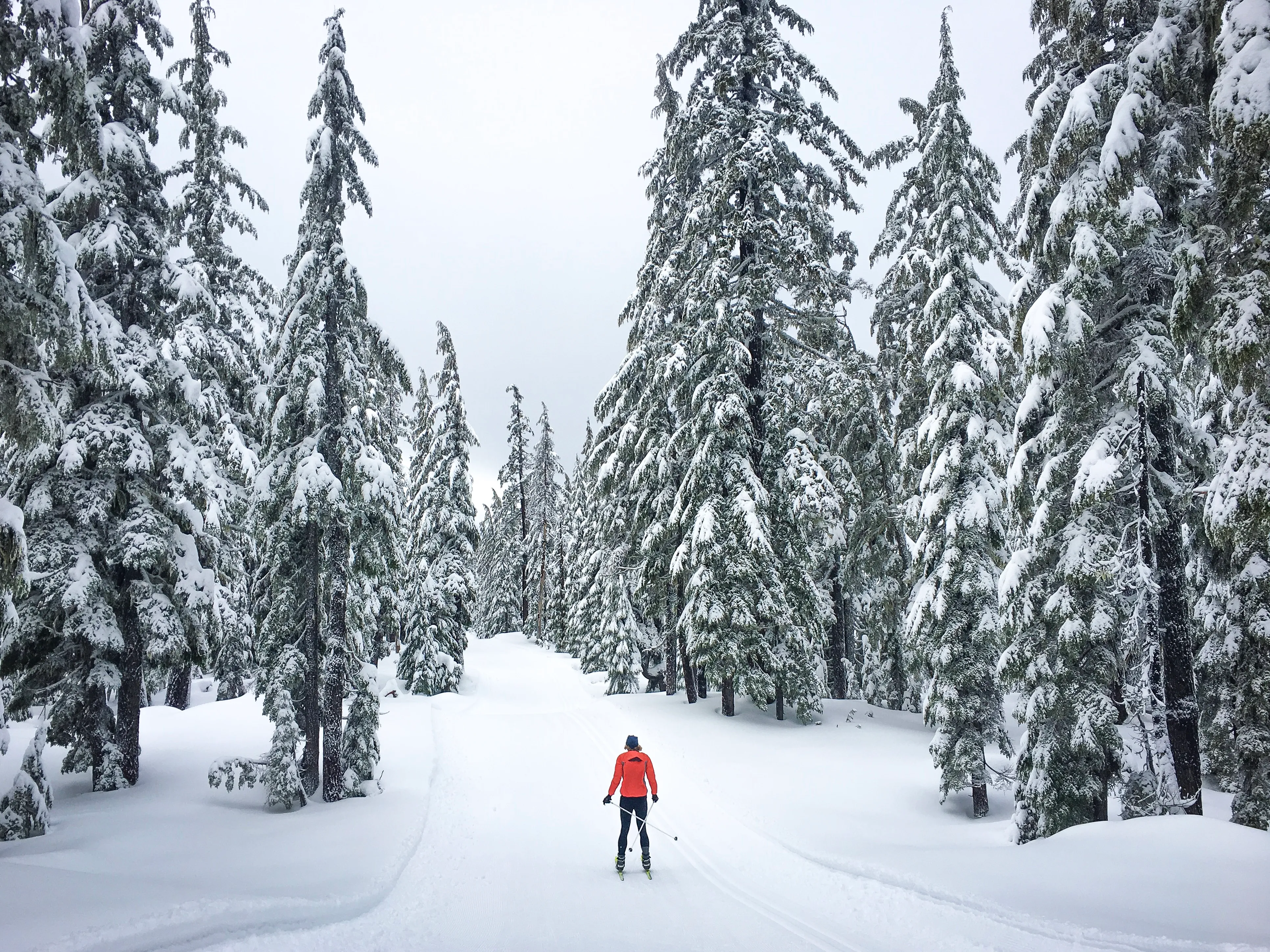 Nordic Ski on Mt. Bachelor