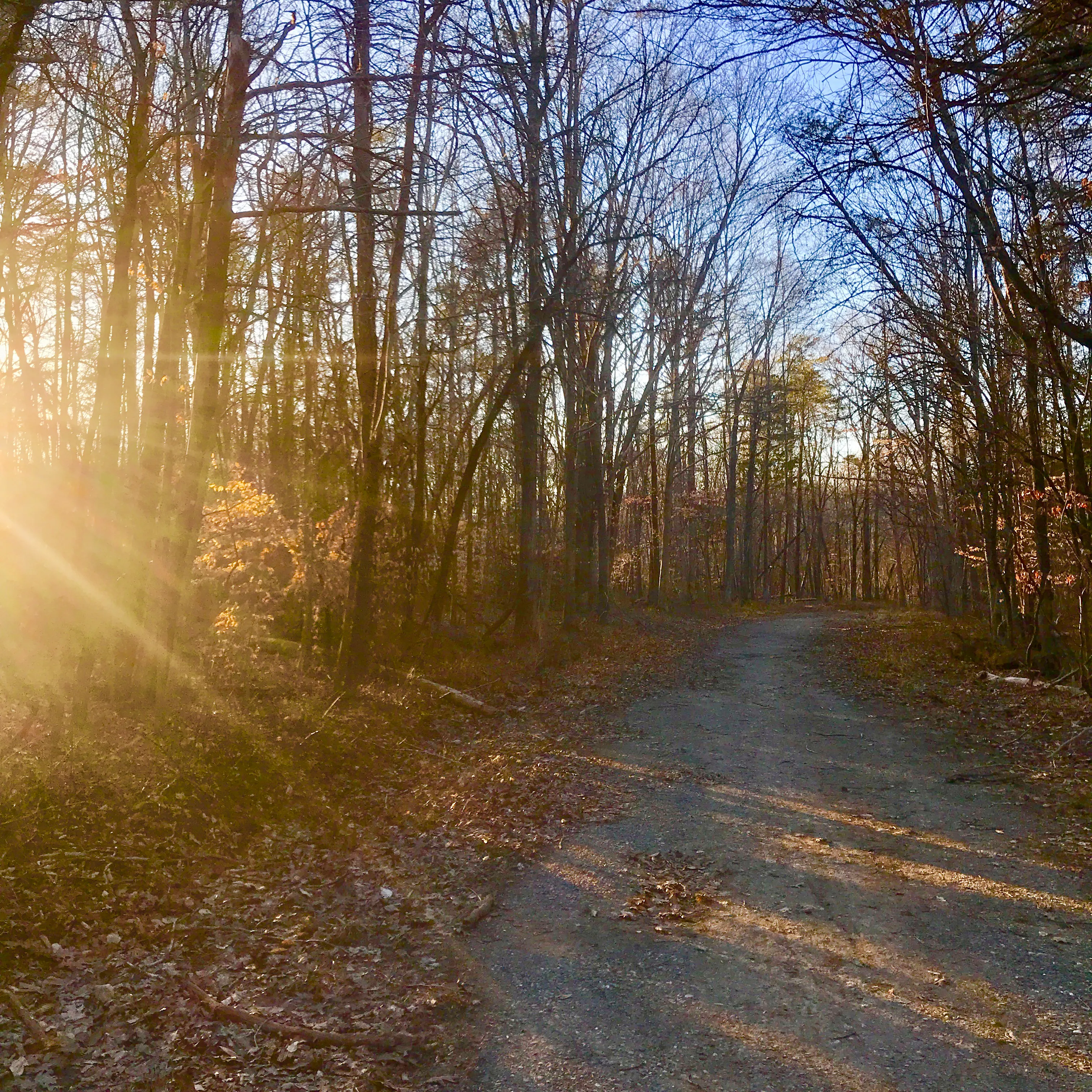 Hike or Bike the Hoyles Mill Trail