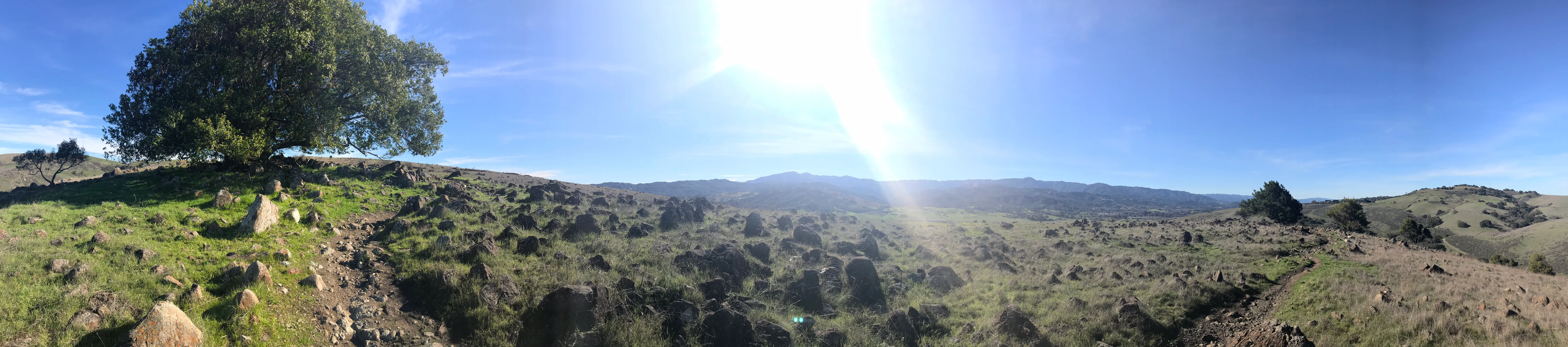Coyote Peak & Rocky Ridge Trail Loop