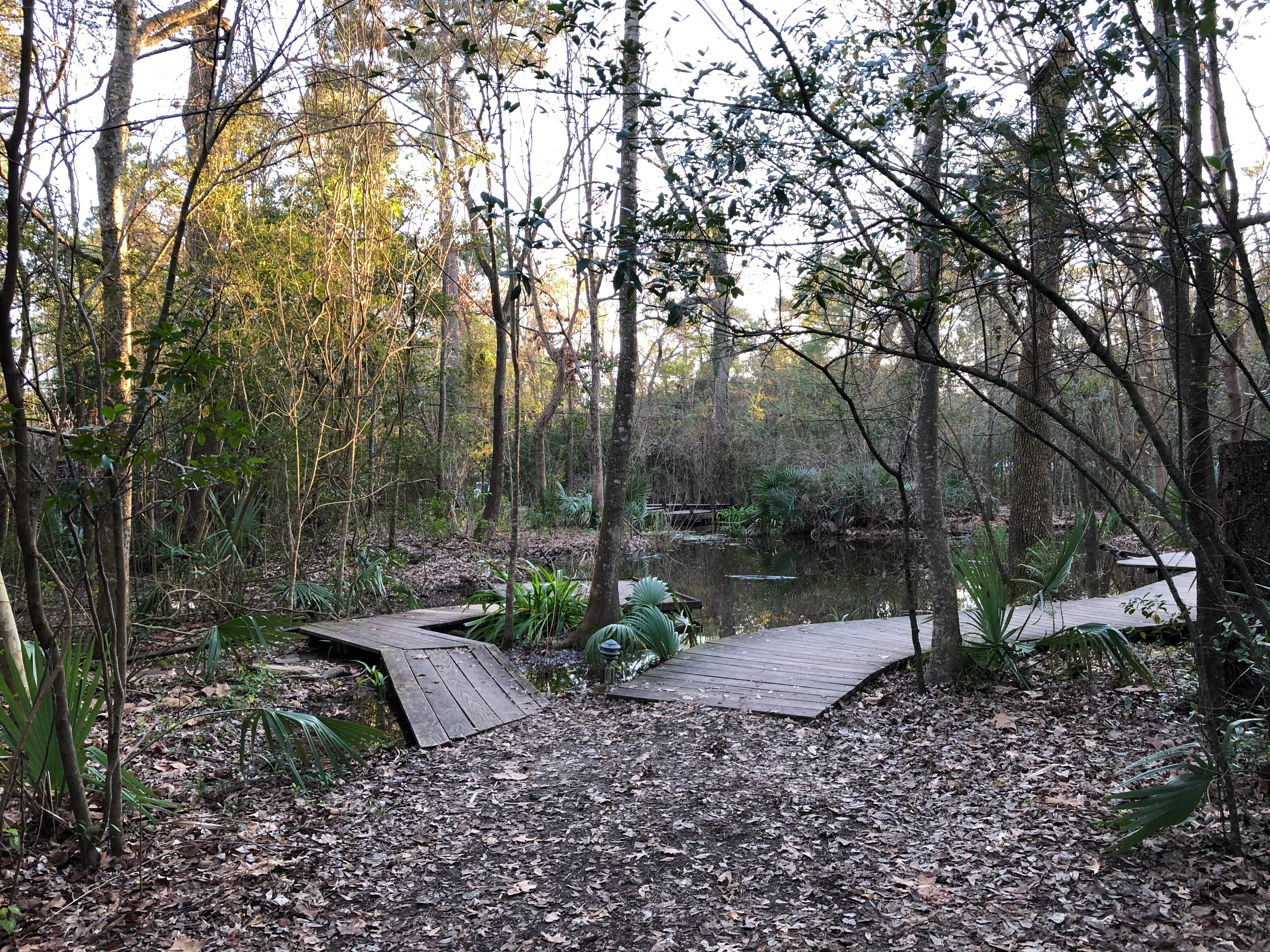 Hike the Edith L Moore Nature Sanctuary Trail