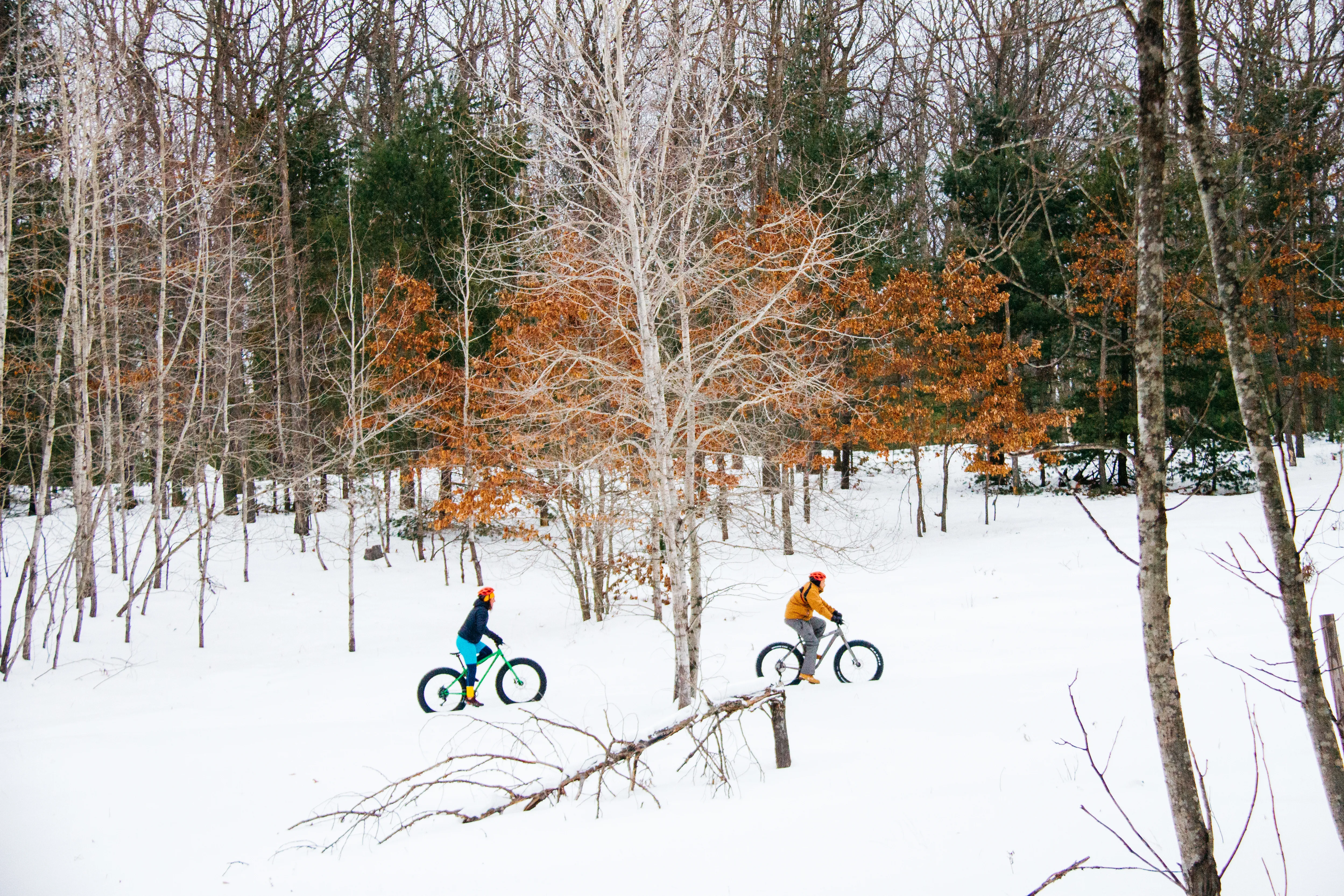 Fat Tire Biking on the Vasa Pathway