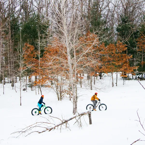 Fat Tire Biking on the Vasa Pathway