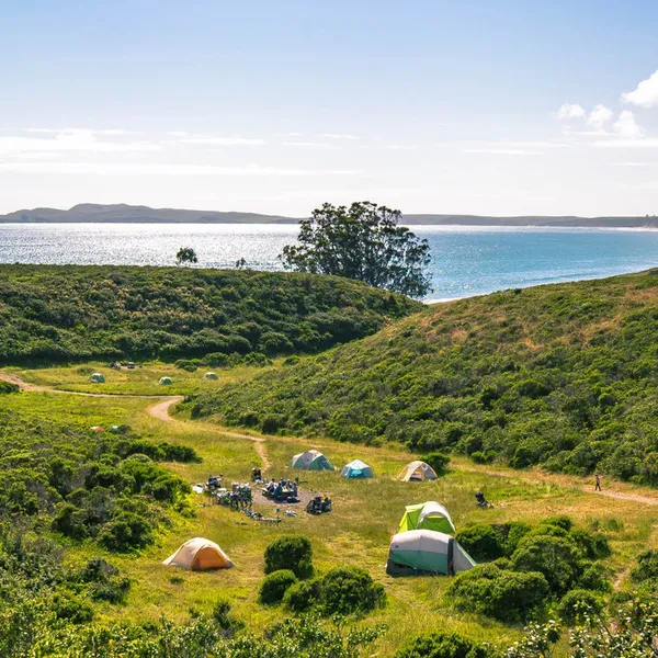 10 Must-Do Adventures in Point Reyes National Seashore