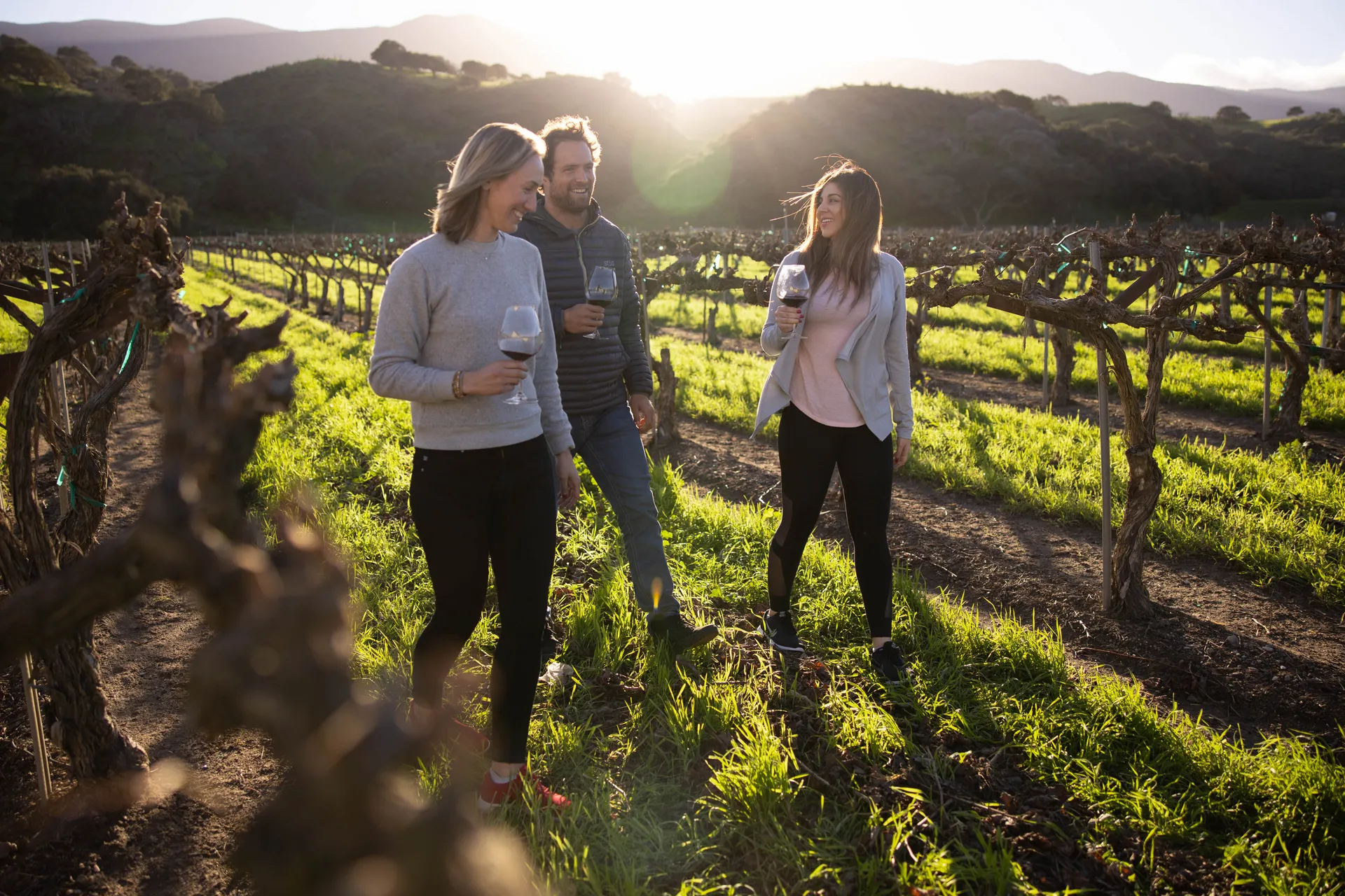 Explore Dreamy Wrath Wines Vineyards
