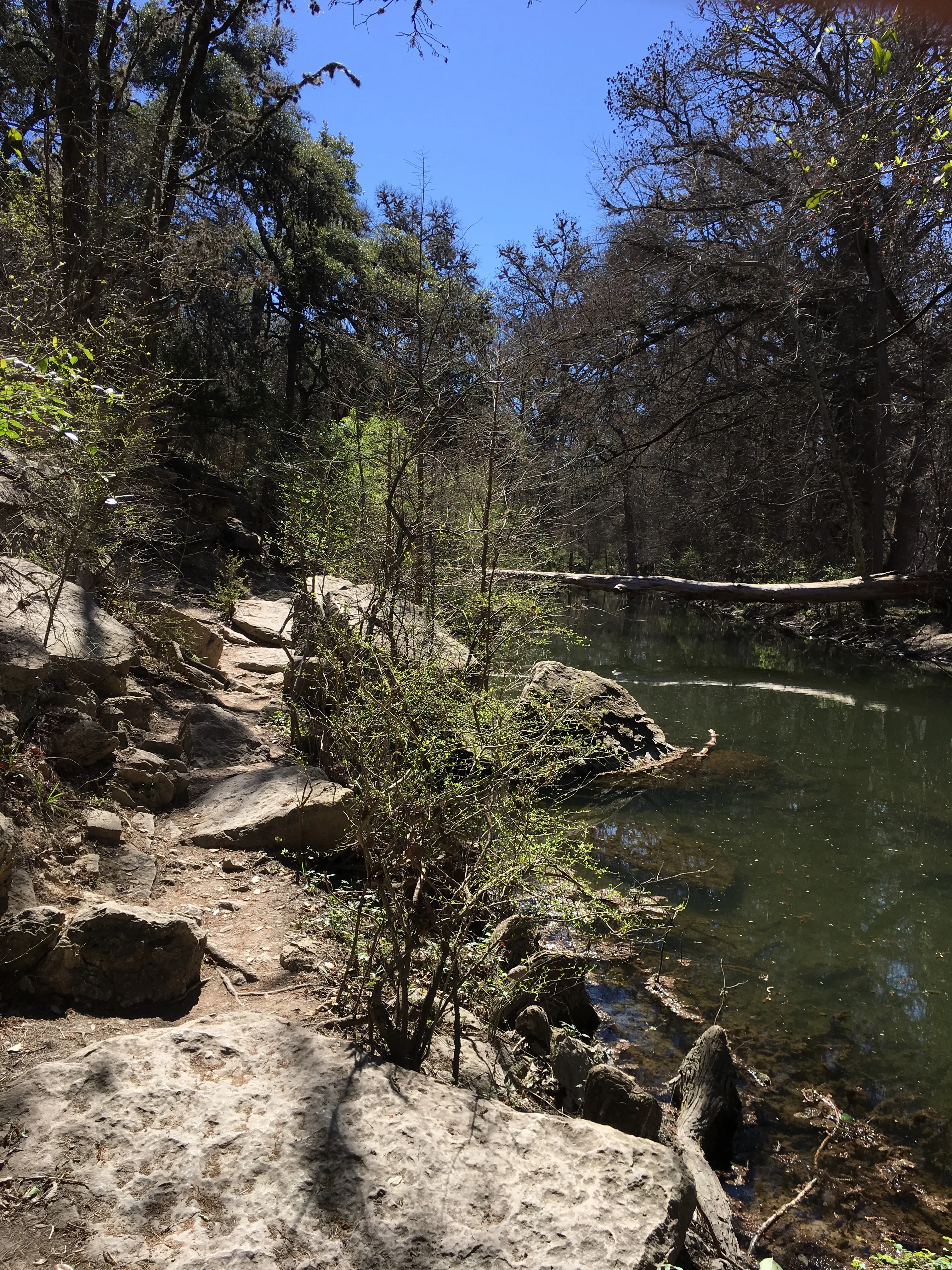 Hike the Prairie, Creekside, and Woodlands Trails
