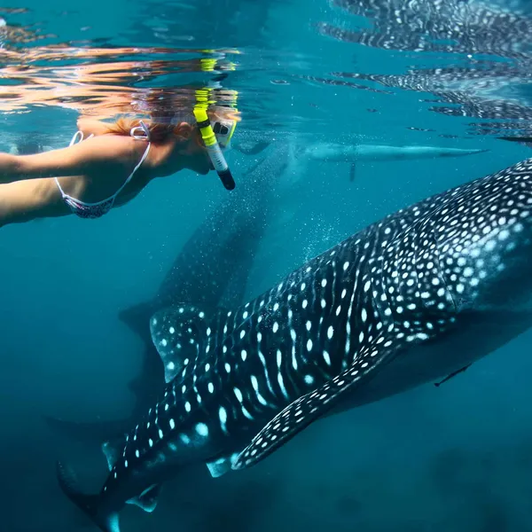 6 Health and Wellness Adventures around the World