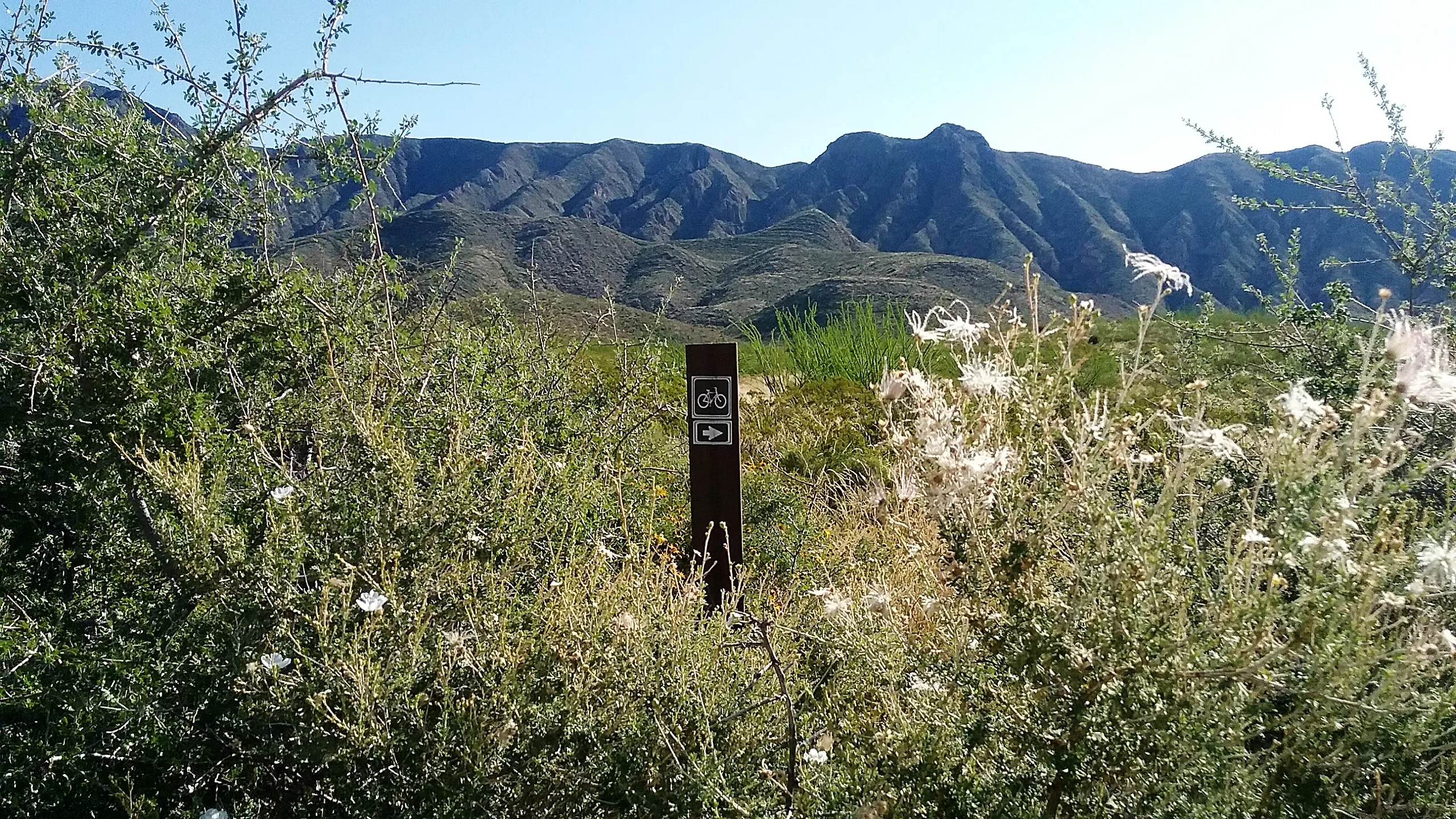 Hike the Lower and Upper Foothills Trails