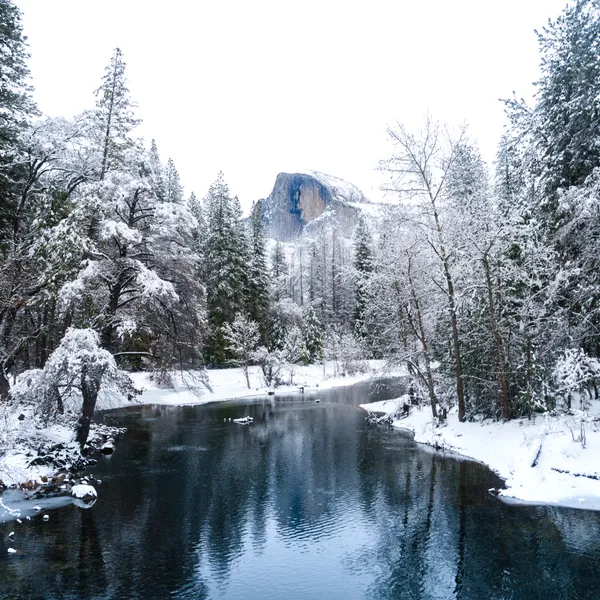 A Magical Yosemite Valley Winter Storm